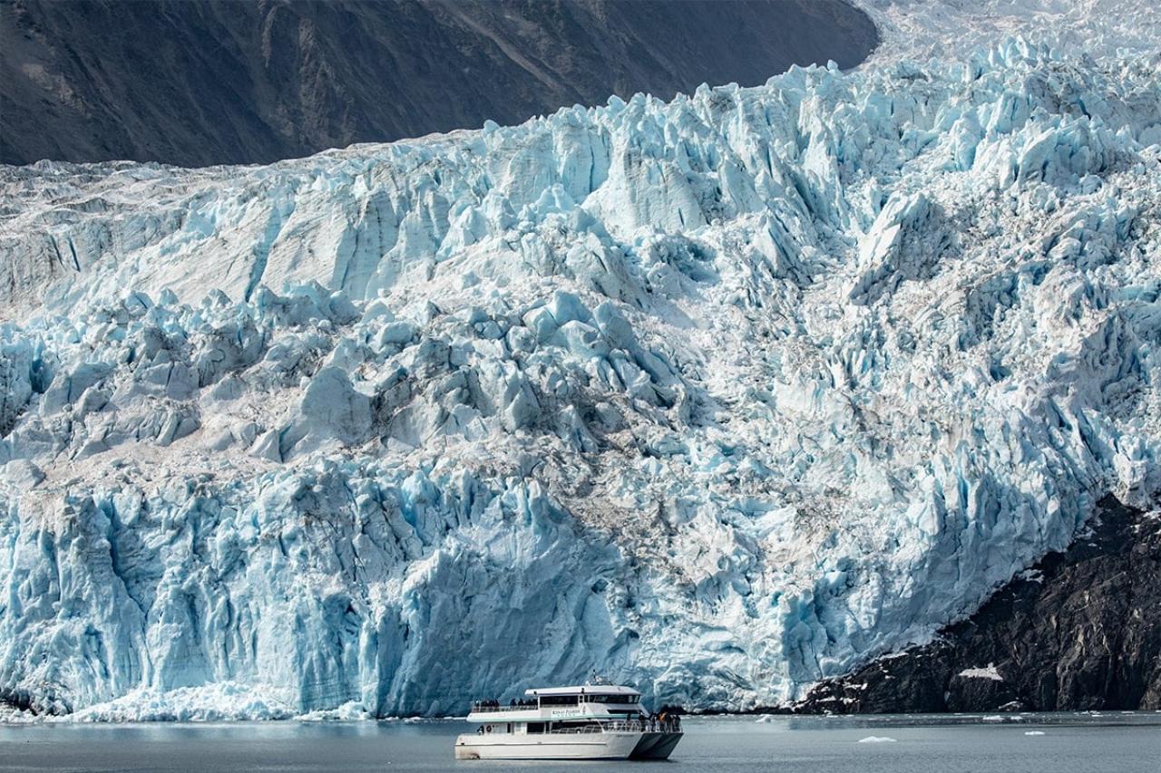 Seward: Captain's Choice Kenai Fjords National Park Tour