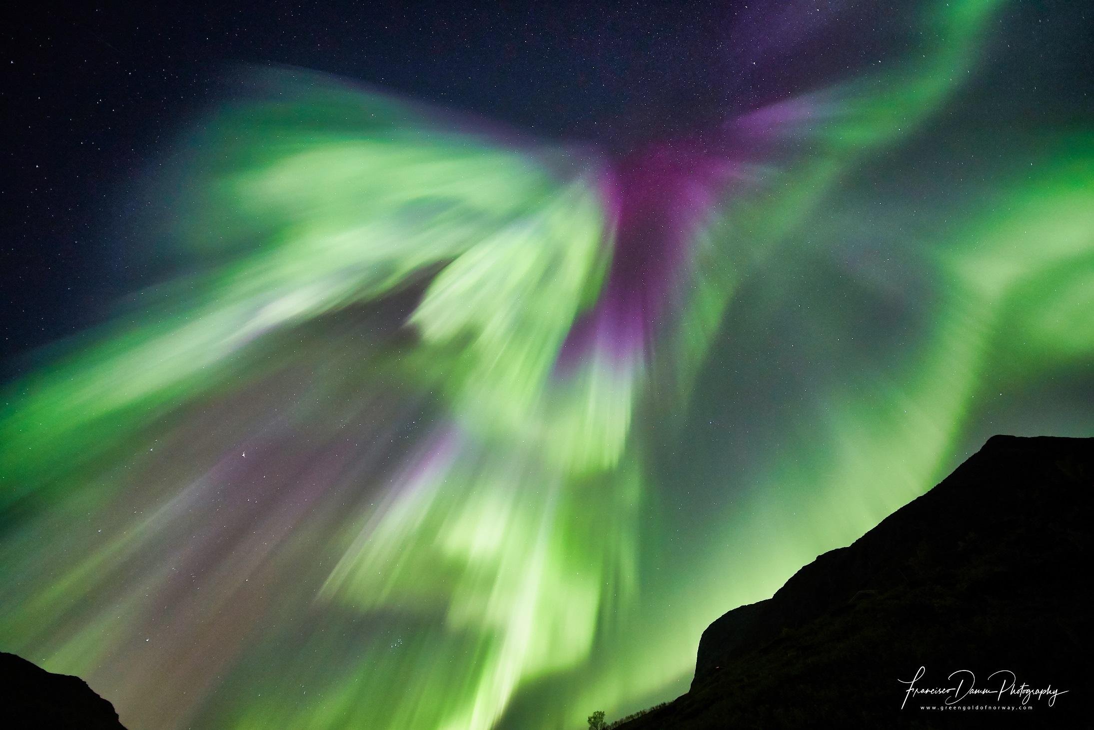 Tromsø: Private 6-Hour Aurora Chase by Minivan