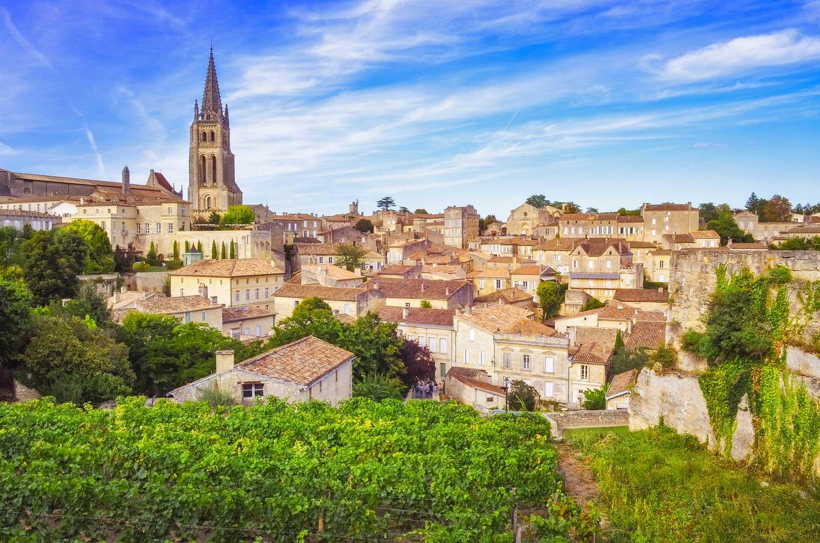 wine tour in Bordeaux — photo 1