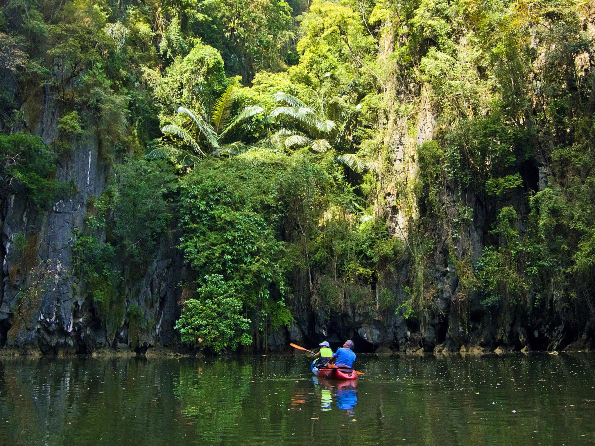 Ao Thalane Mangrove Kayak Adventure – Krabi