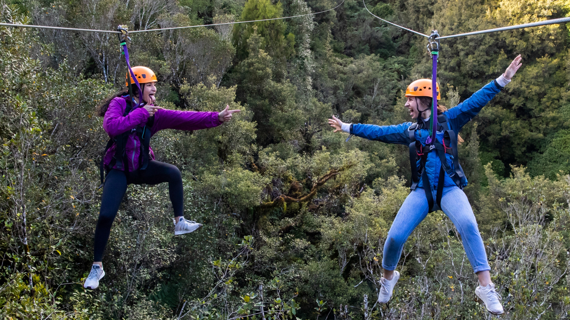 Rotorua Canopy Zipline Adventure with Tandem Race & Cliff Walk
