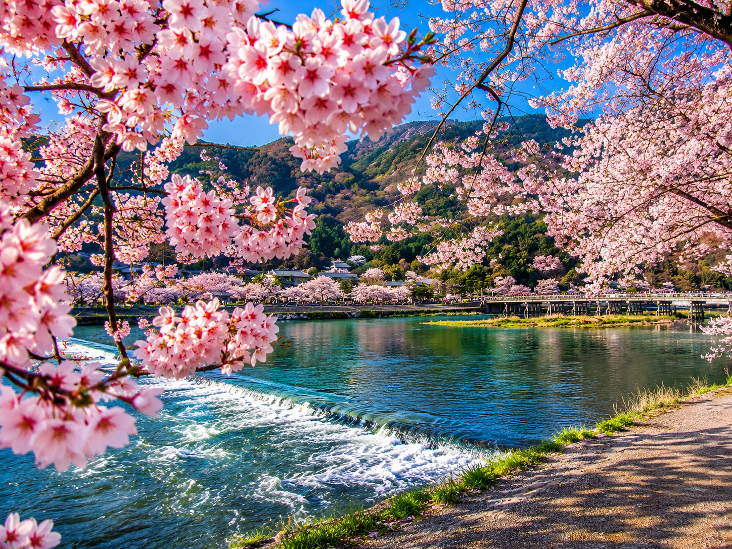 Kyoto & Nara Highlights Bus Tour from Osaka or Kyoto