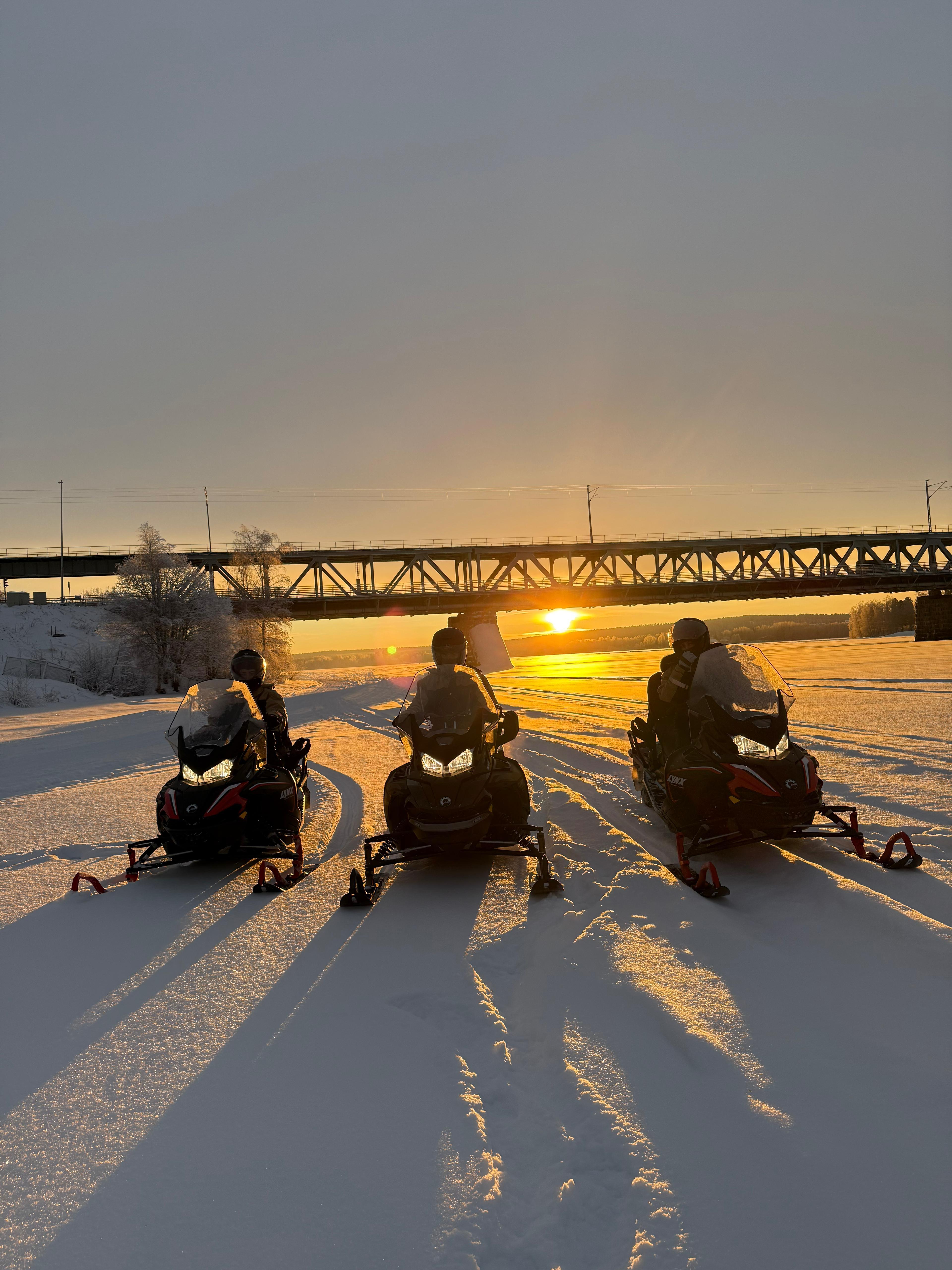 Rovaniemi Arctic Snowmobile Safari with Local Guide
