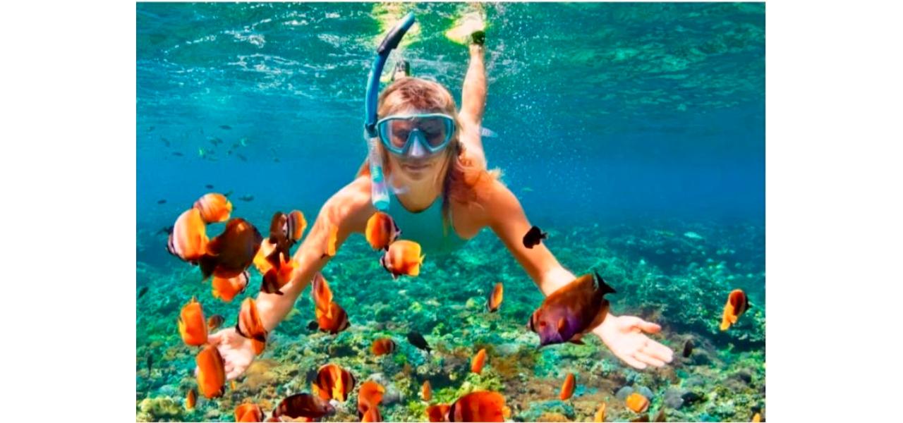 Sosua Bay Snorkeling & Beach Day