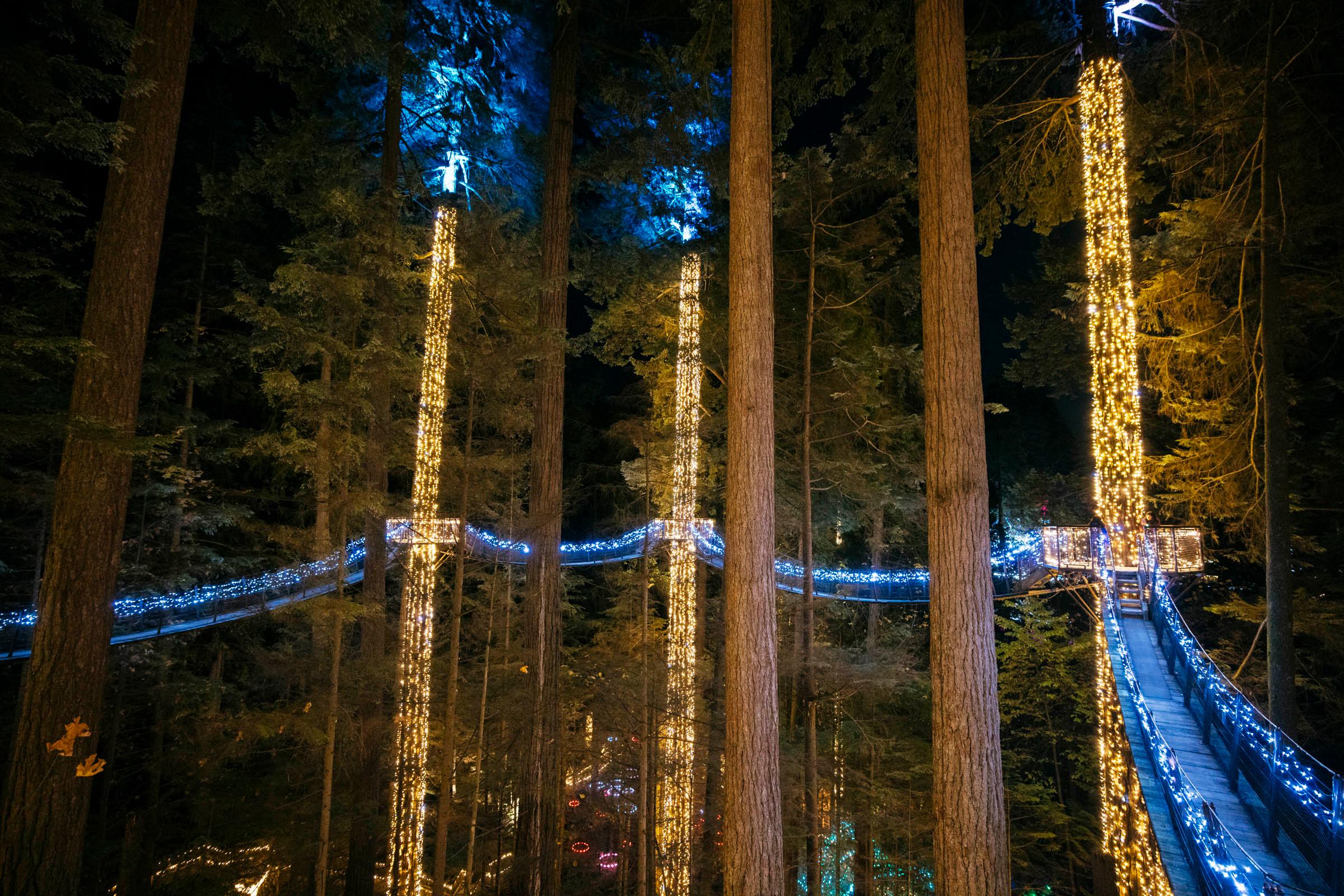 Vancouver North Shore & Capilano Canyon Lights Explorer