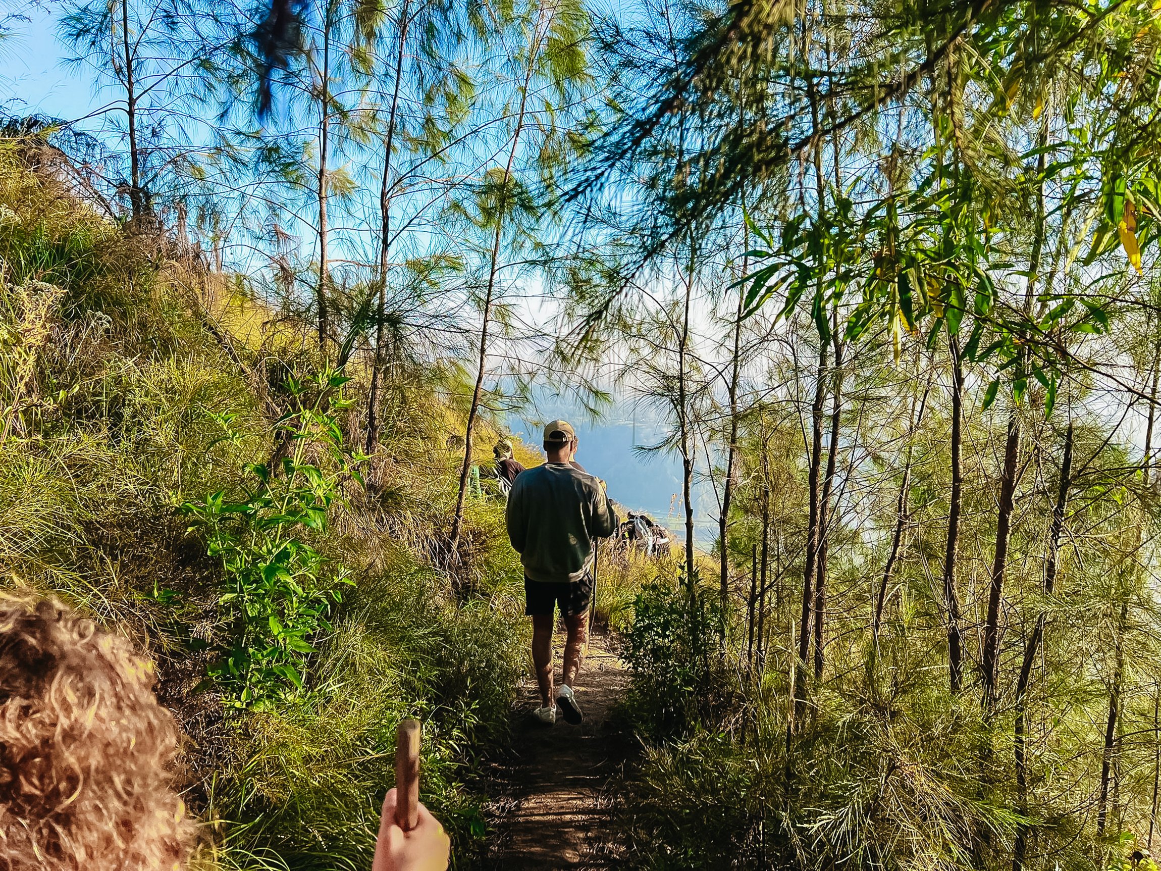 Mount Batur Sunrise Trek with Breakfast & Coffee Plantation Visit