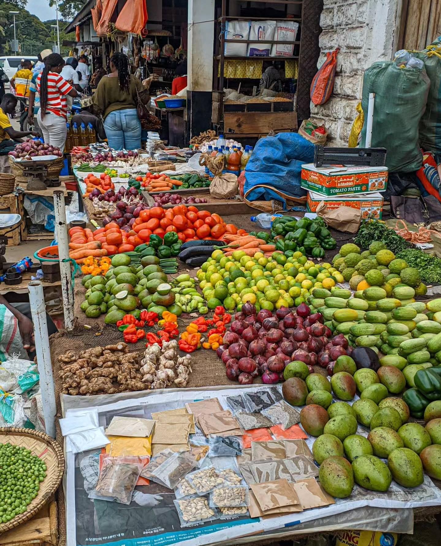 Zanzibar Full-Day: Stone Town, Spice Farm & Prison Island with Lunch