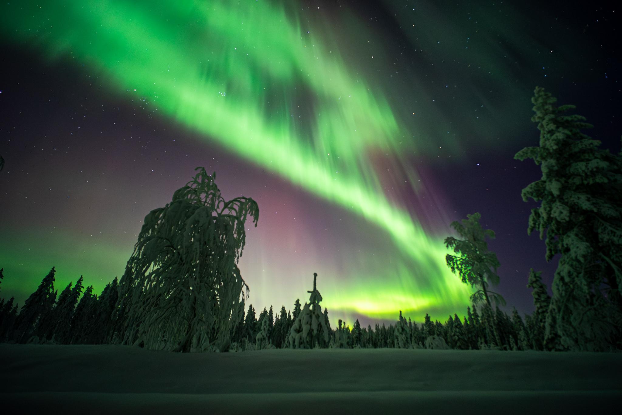 Rovaniemi: Korouoma Canyon Hike & Northern Lights Tour