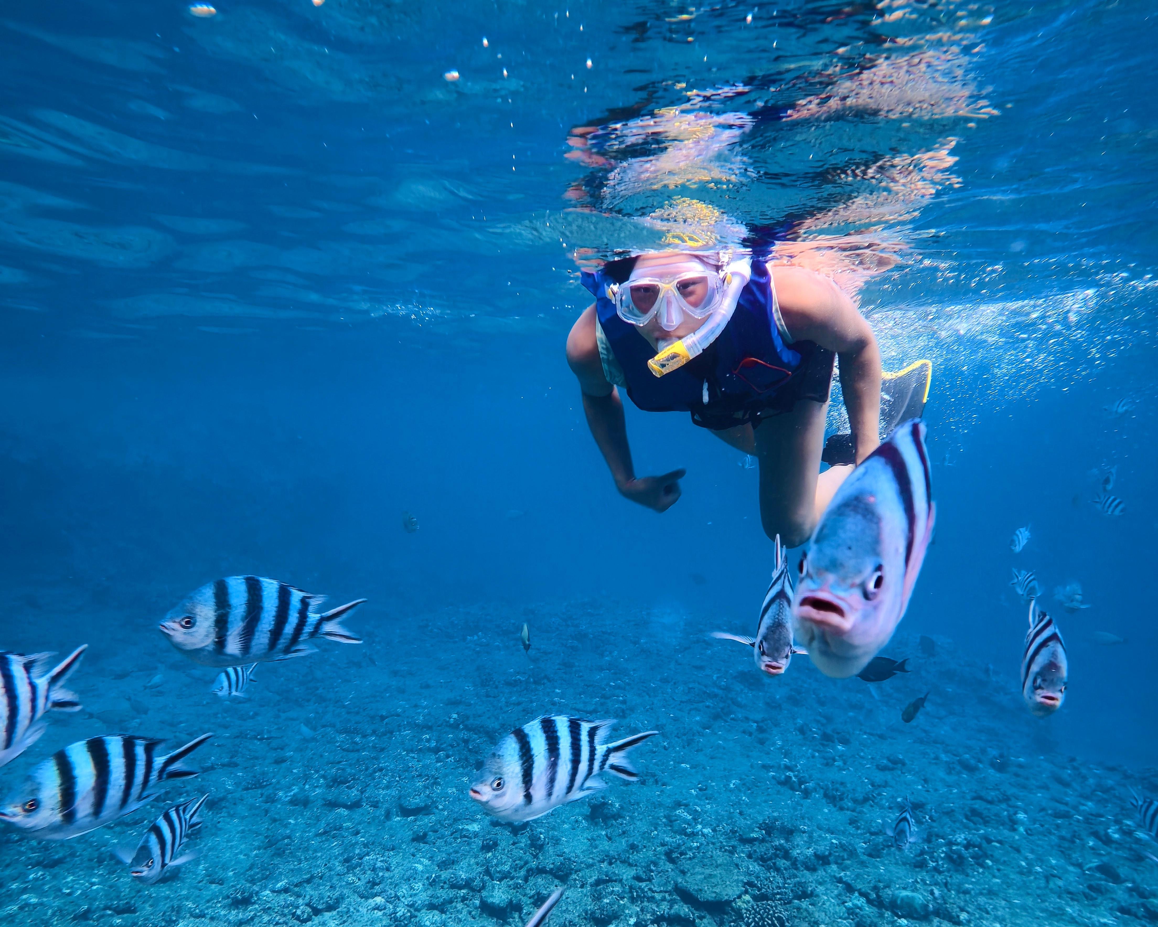 Blue Cave Okinawa snorkelling at Cape Maeda, Onna Village — image 17