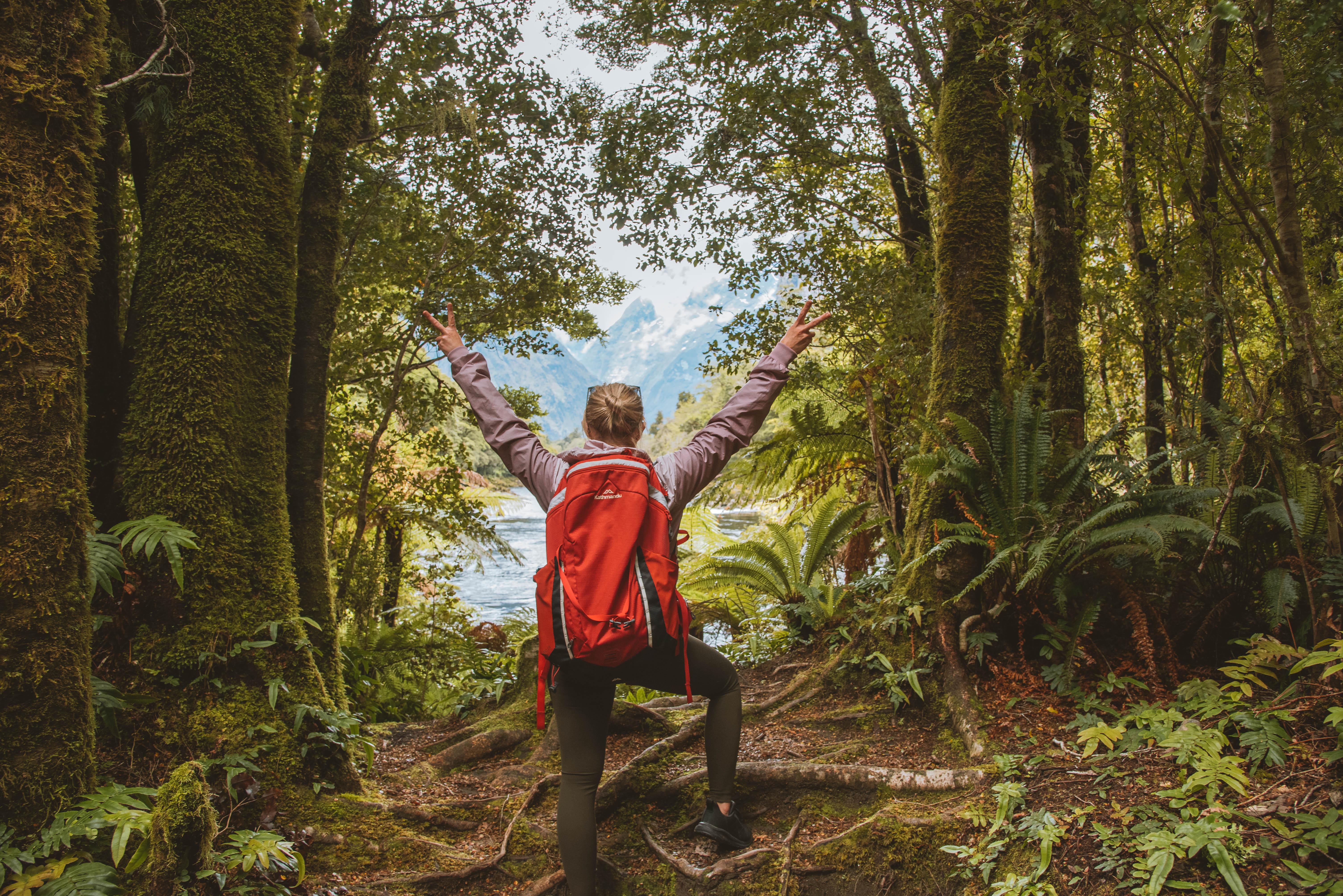 Milford Sound: Self-Guided Milford Track Day Walk