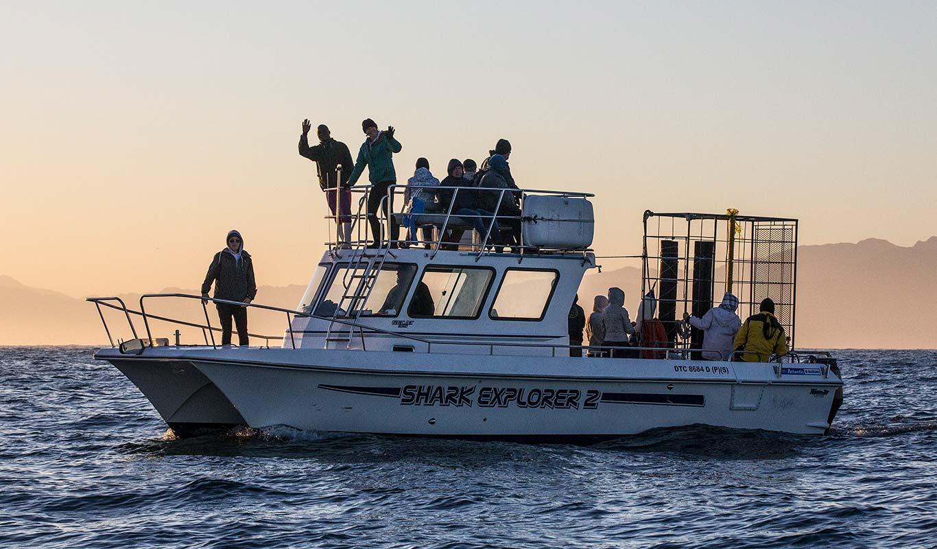 Cape Town Shark Cage Diving Adventure