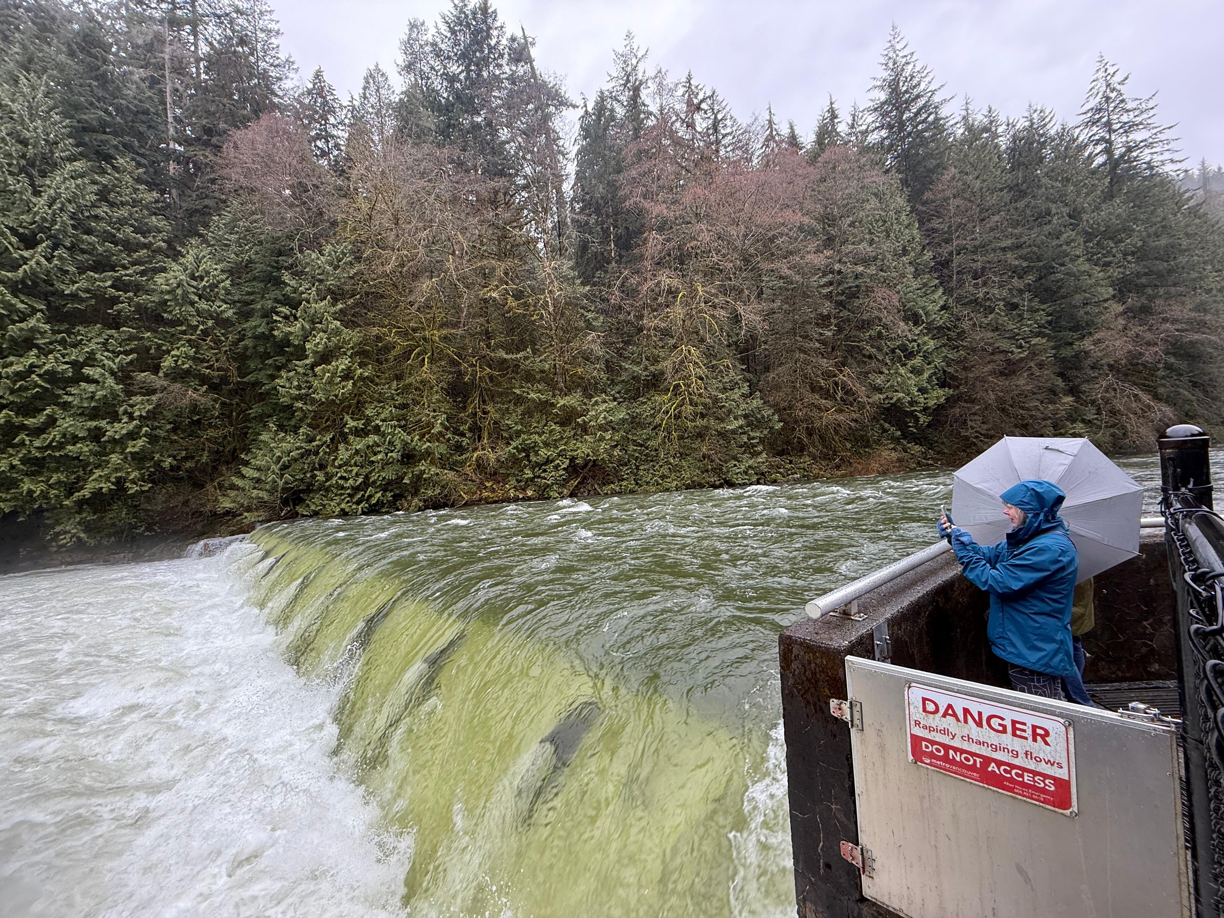 5-in-1 Vancouver Highlights: Grouse Mountain & Capilano Bridge Private Car Tour
