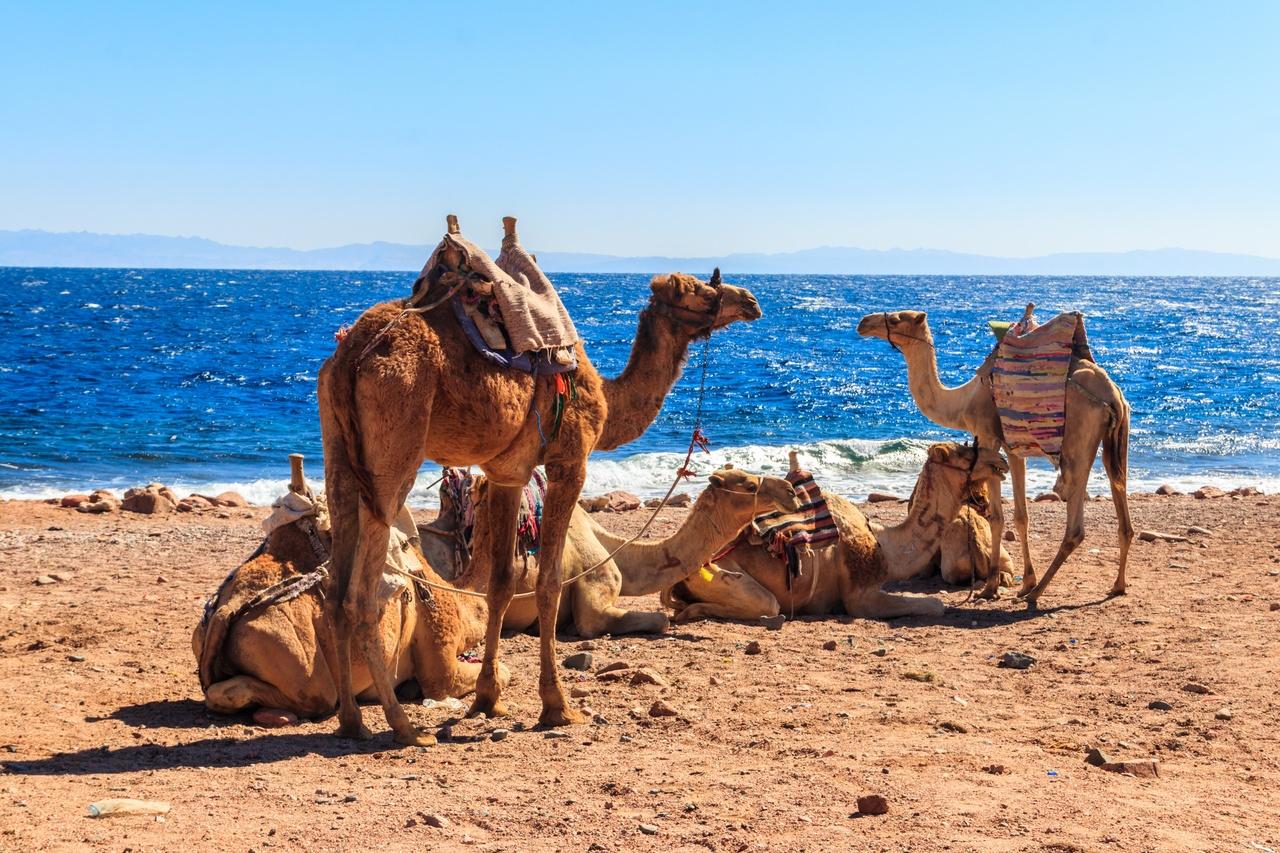 Sharm El-Sheikh: Colored Canyon, Blue Hole & Dahab Jeep Day Trip