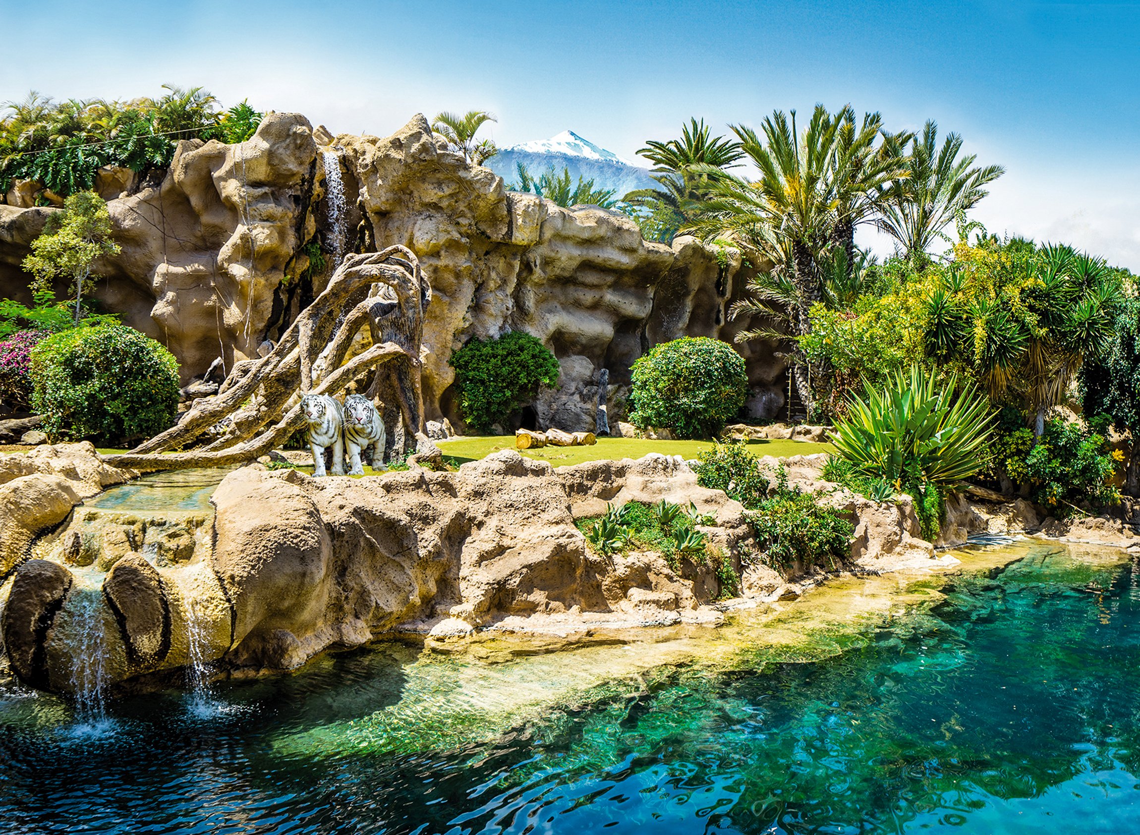 Loro Parque Tenerife Official Entry Ticket
