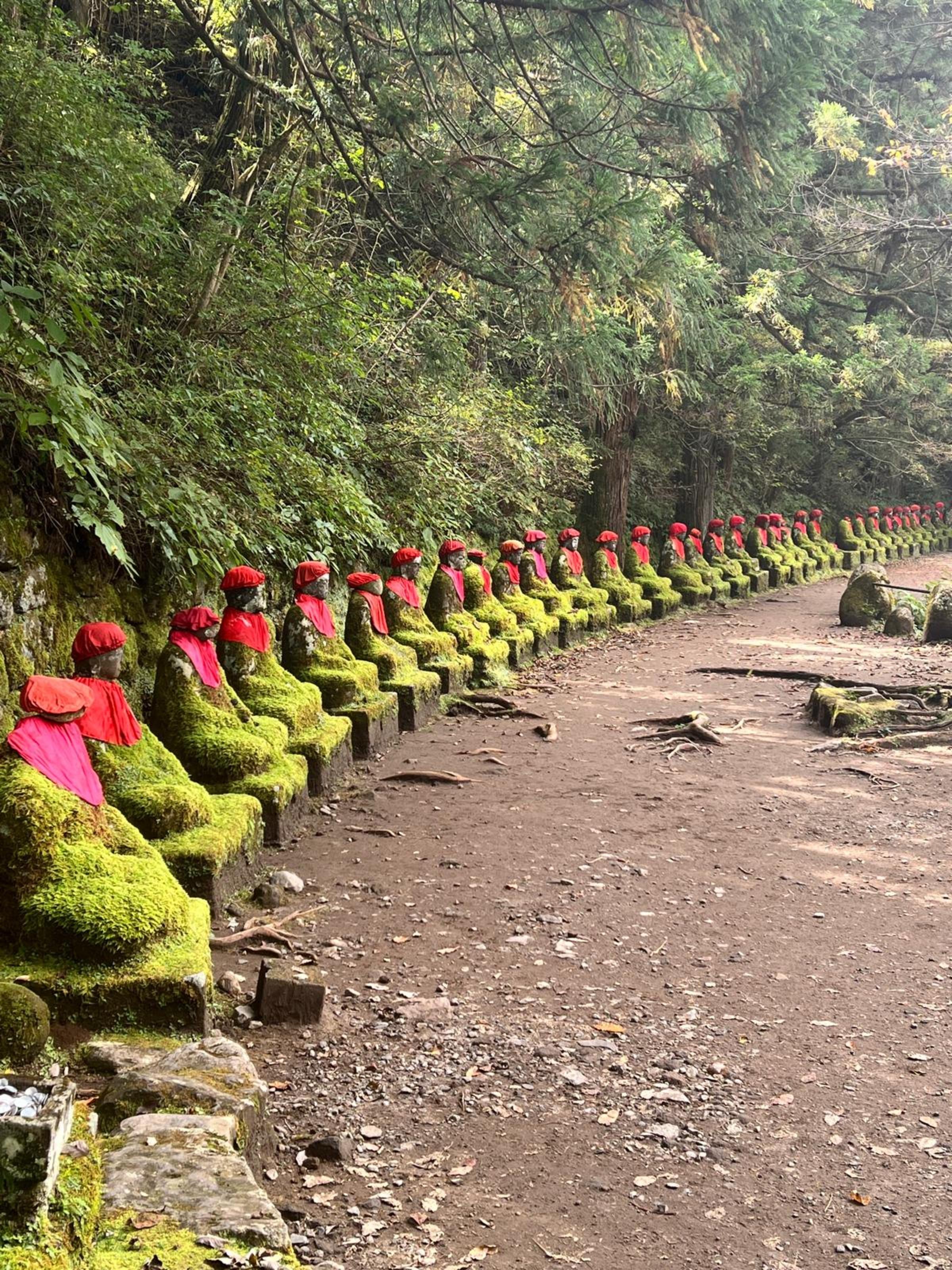Nikko Private Full-Day Tour with English-Speaking Driver-Guide