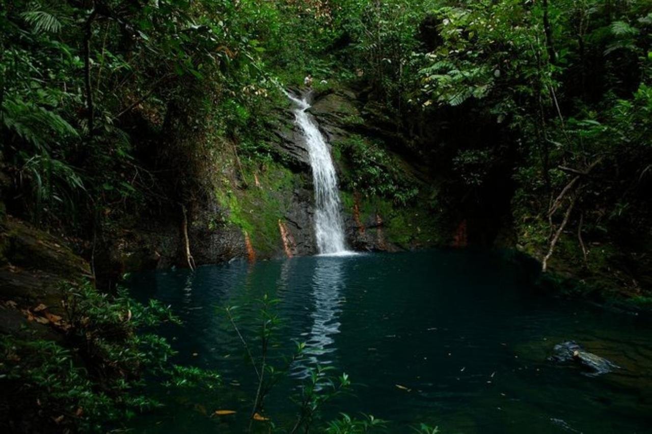 Cockscomb Basin Jaguar Reserve: Jungle Hike & River Tubing
