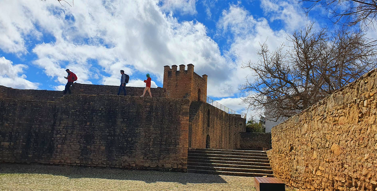 tapas tour in Málaga — photo 41