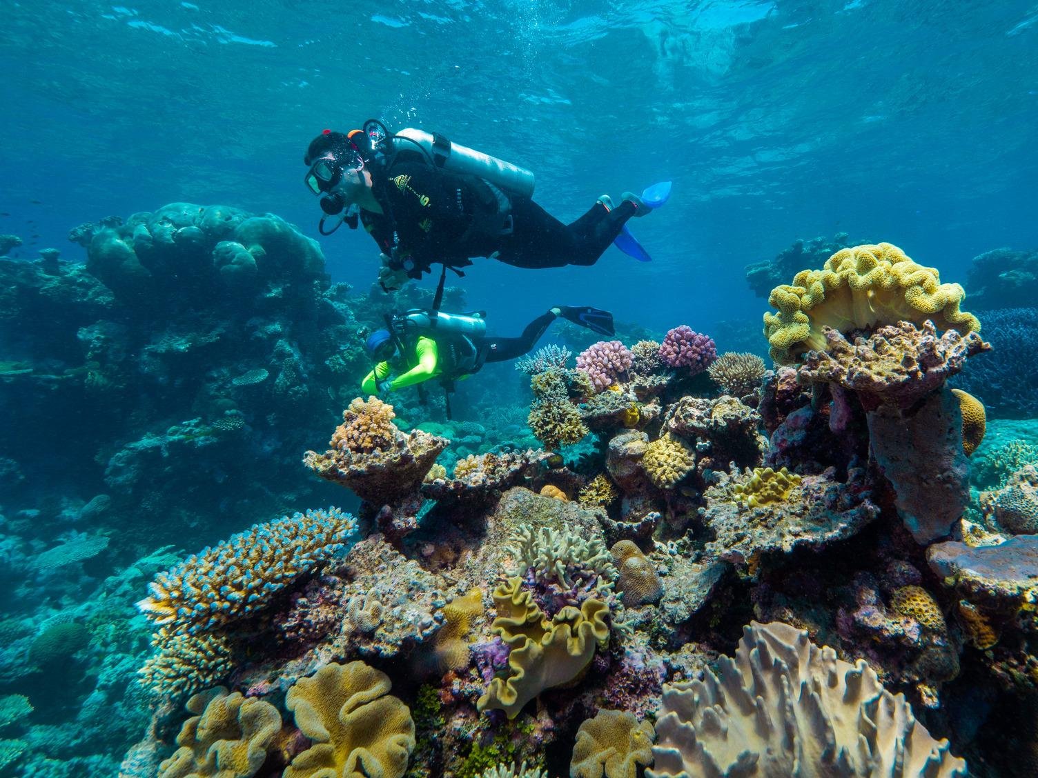 Green Island Great Barrier Reef Adventure with Diving