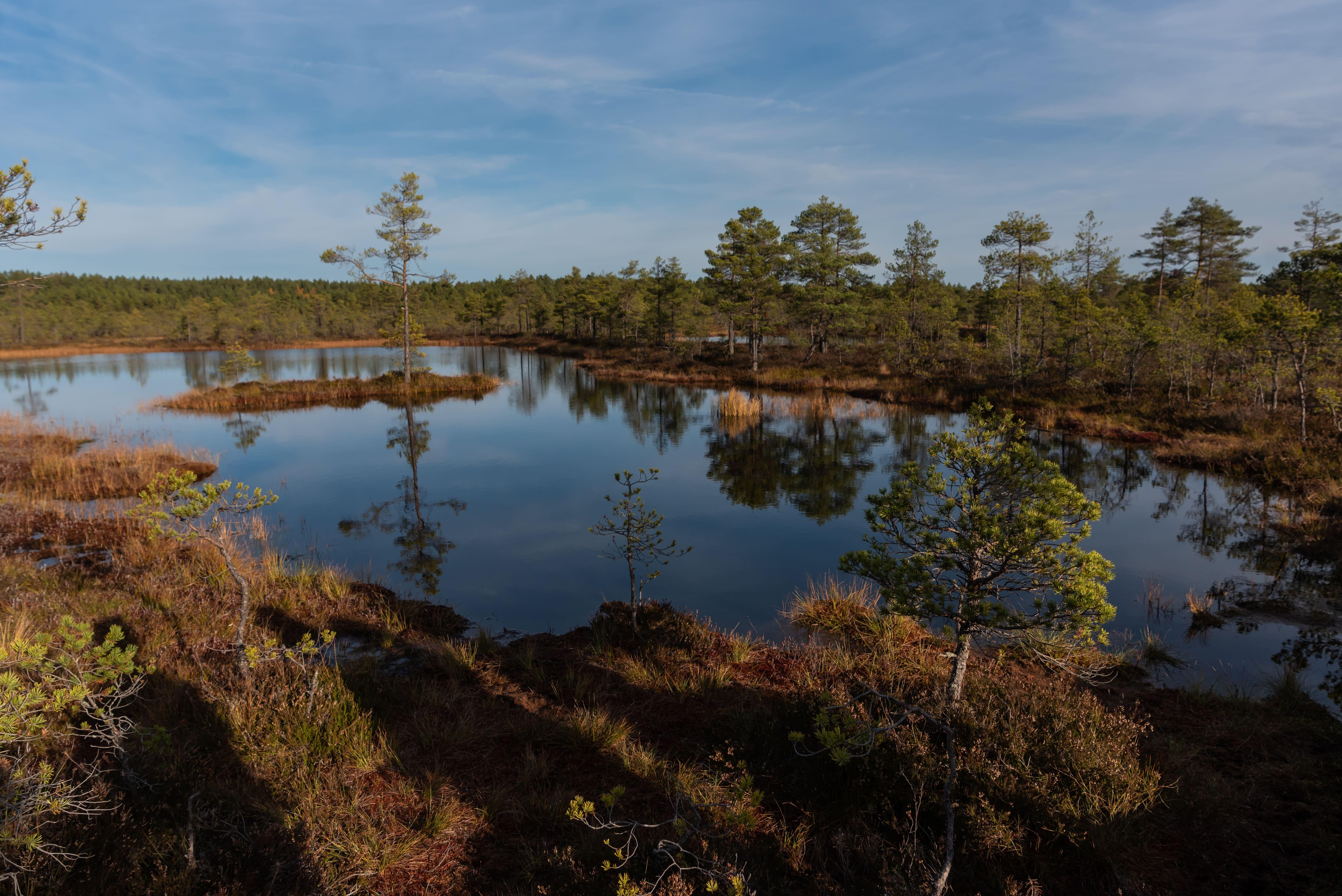 Lahemaa National Park full-day tour from Tallinn — image 15