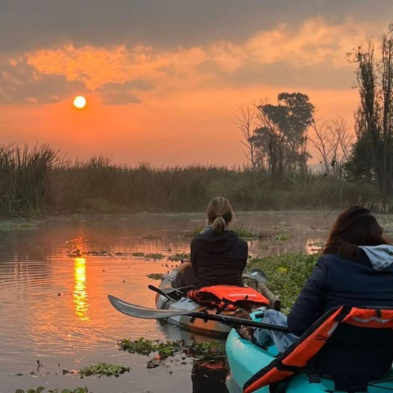Xochimilco Kayak & Axolotl Conservation Tour
