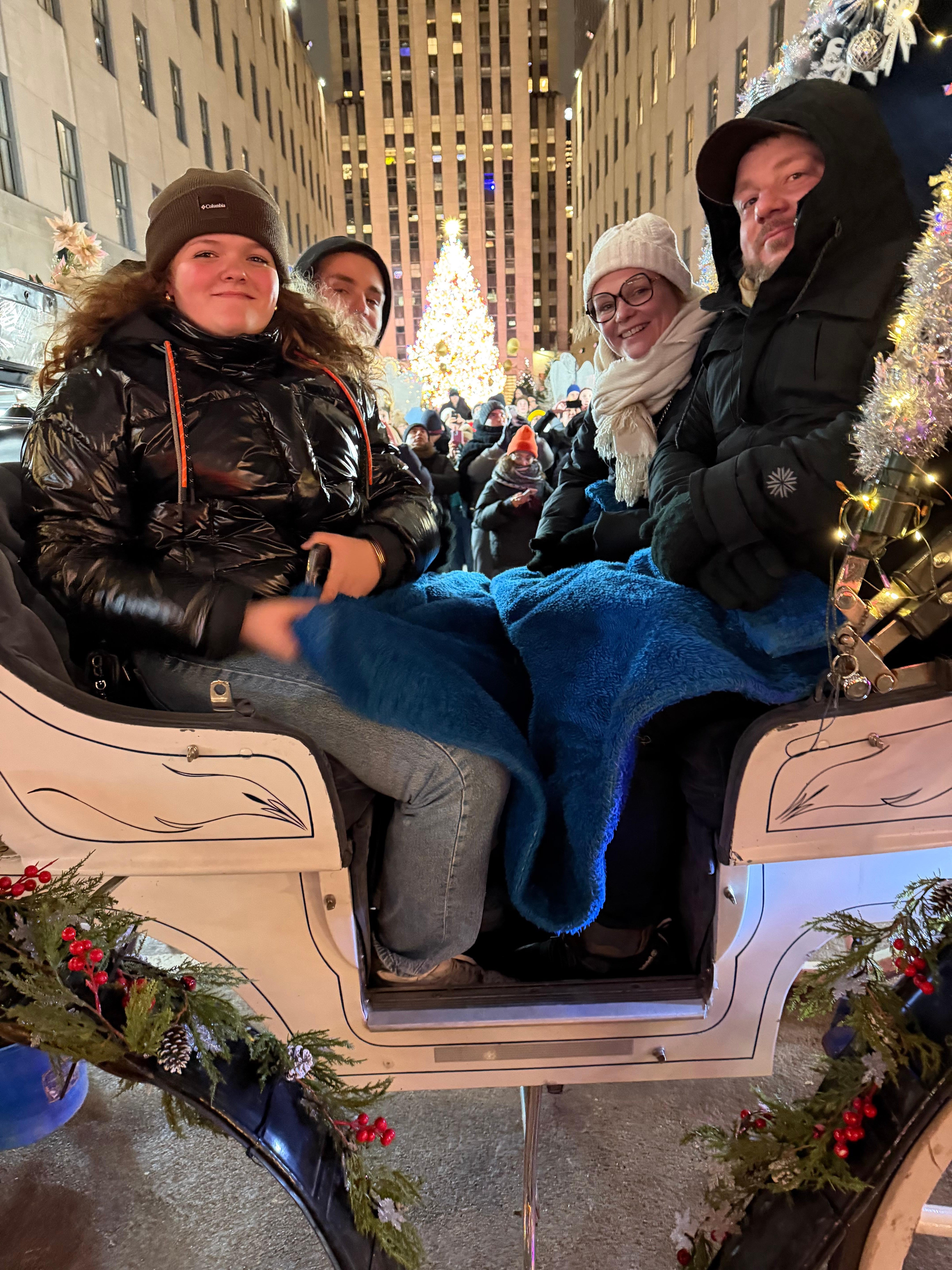 Private Central Park Horse Carriage Tour with Guide