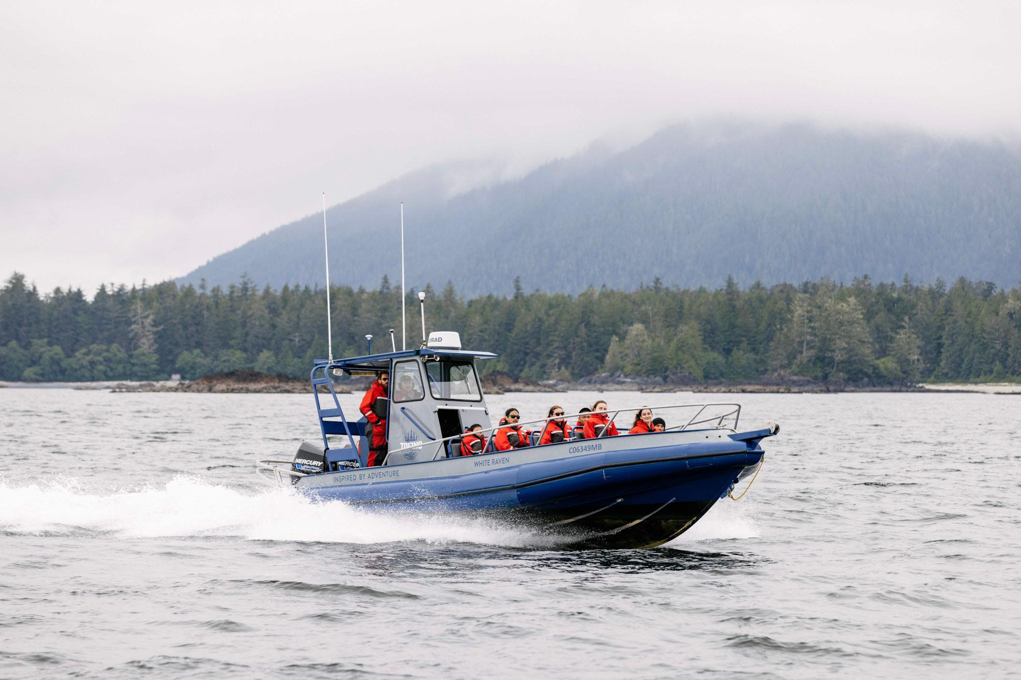 Vancouver whale watching tour — orcas and marine wildlife in the Salish Sea — image 2