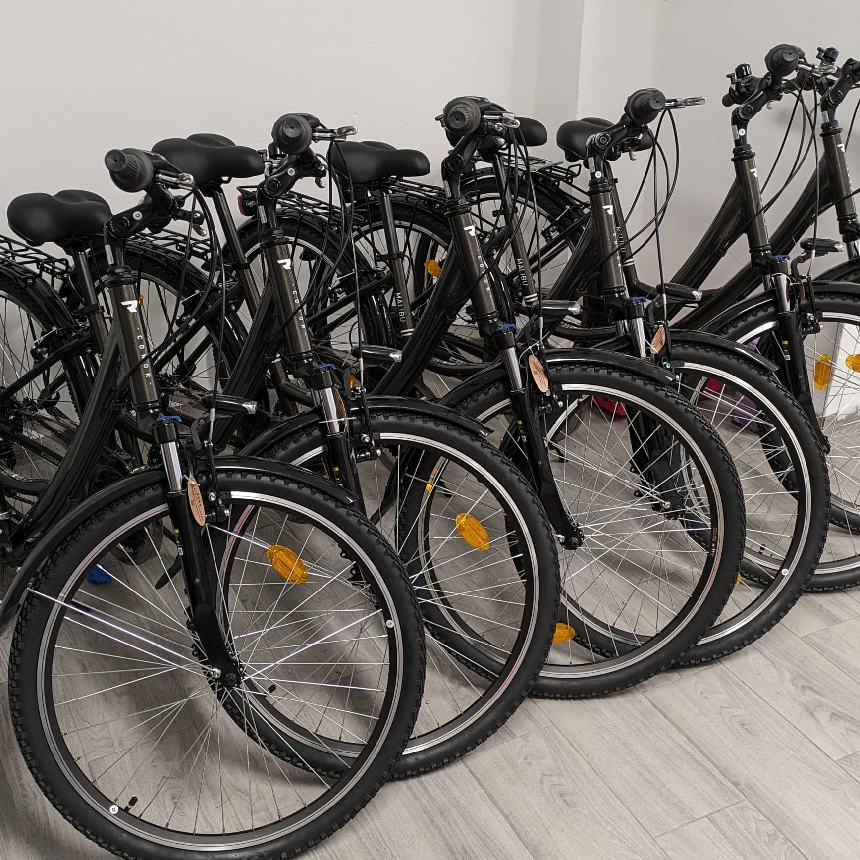 Premium eBike Rental in Nerja