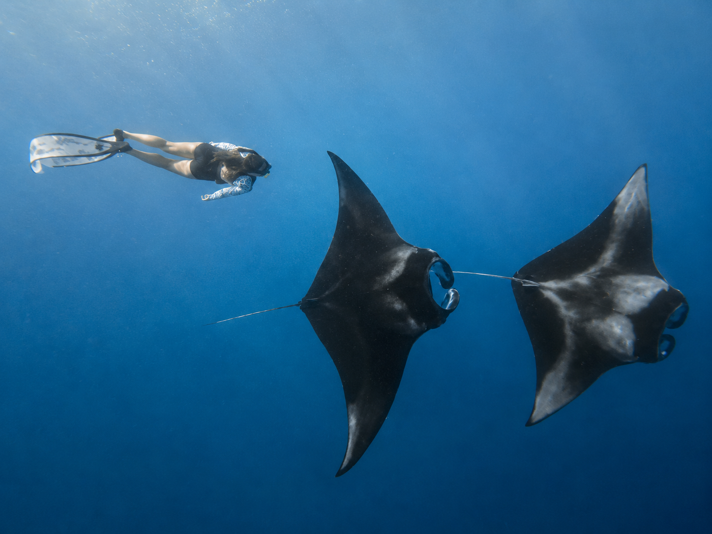 Nusa Penida Manta Ray Snorkeling & Coastal Cliffs