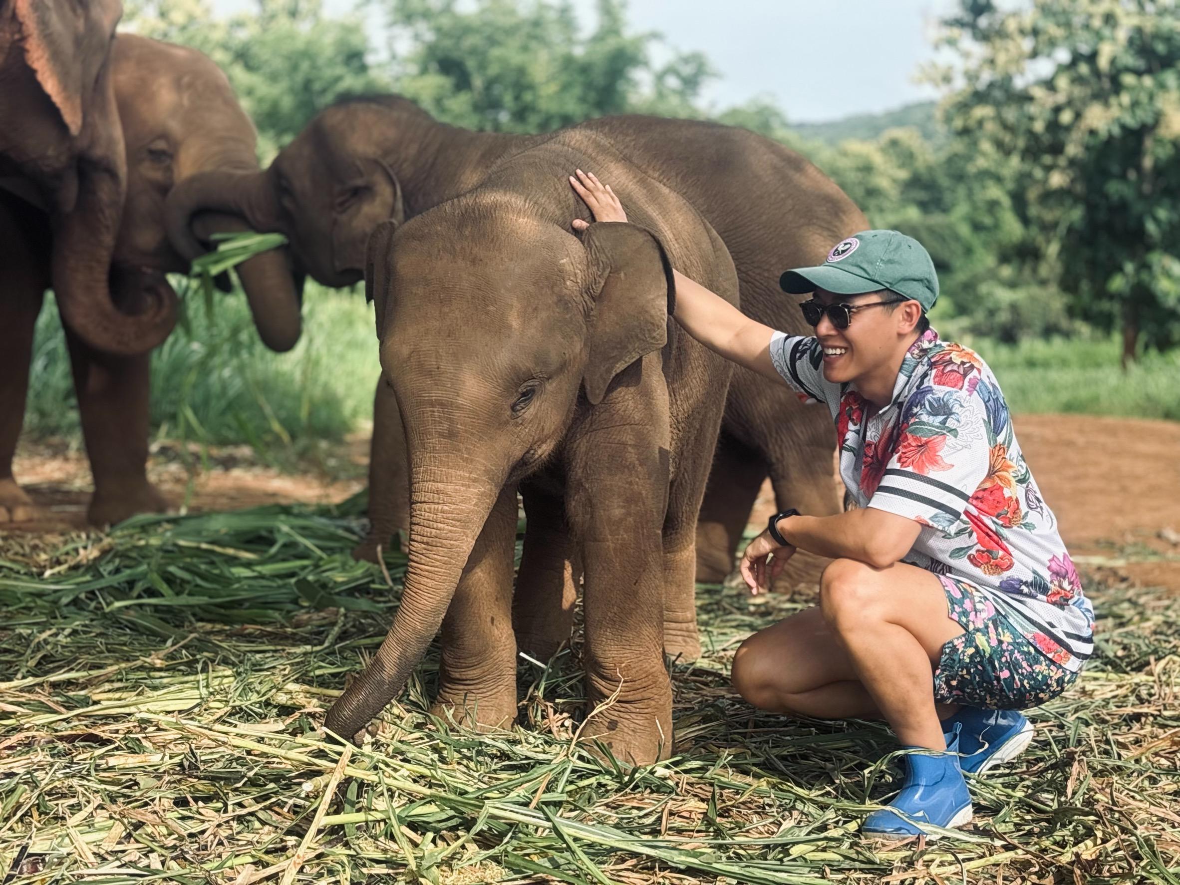 Elephant Sanctuary and Cooking Class — image 24