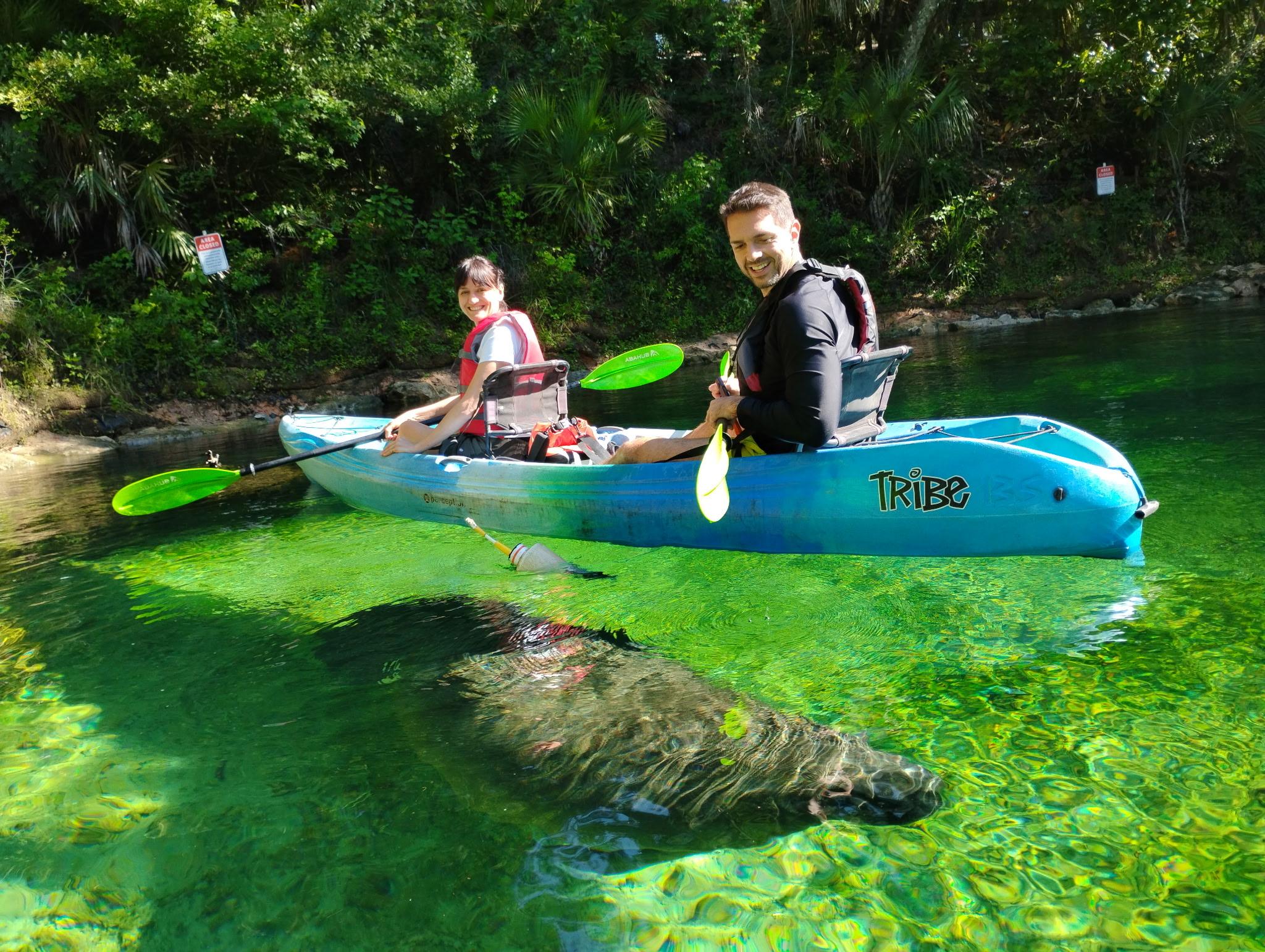 Manatee Kayaking Adventure in Orlando