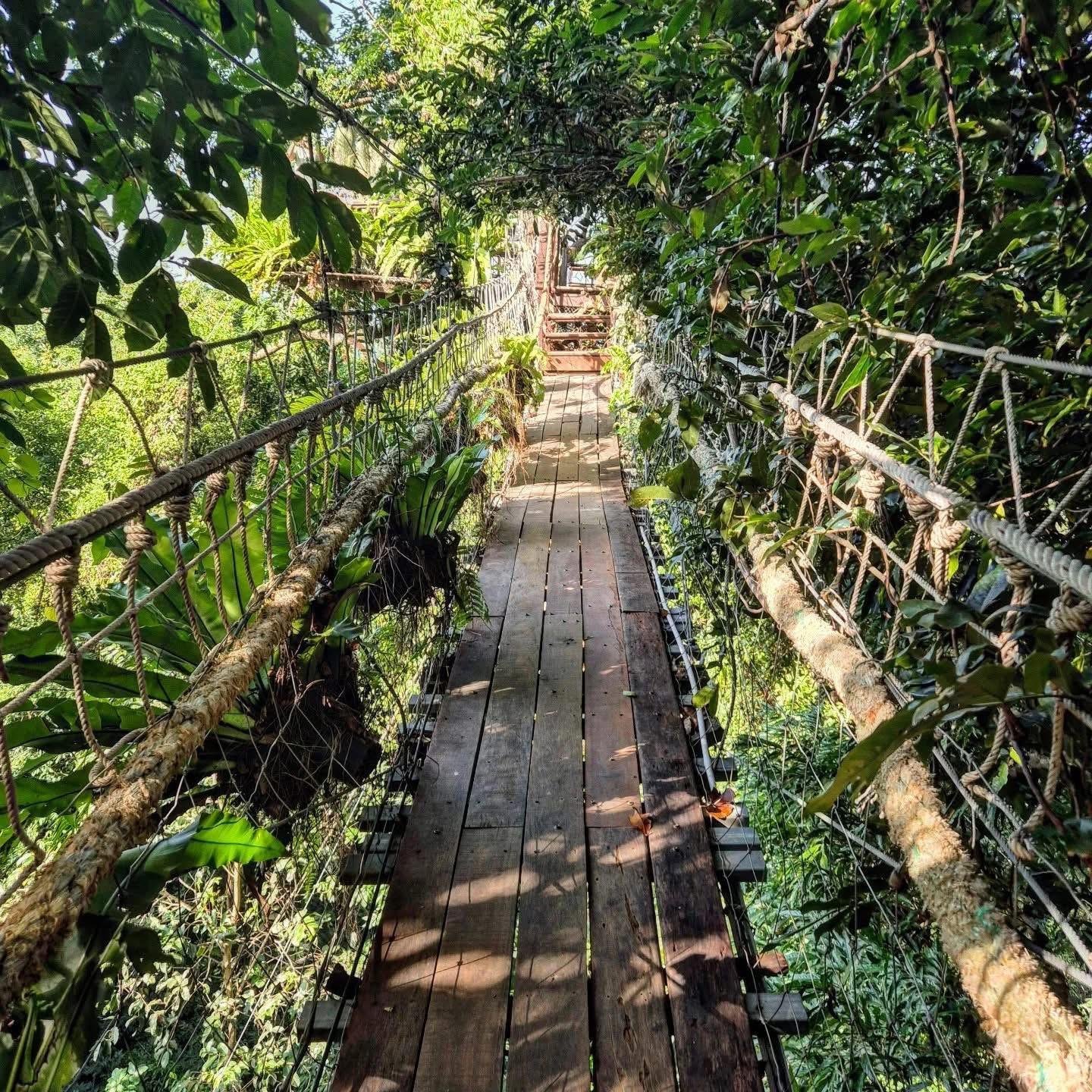 Samui Zipline Adventure: Jungle Canopy, Waterfall & Cafe