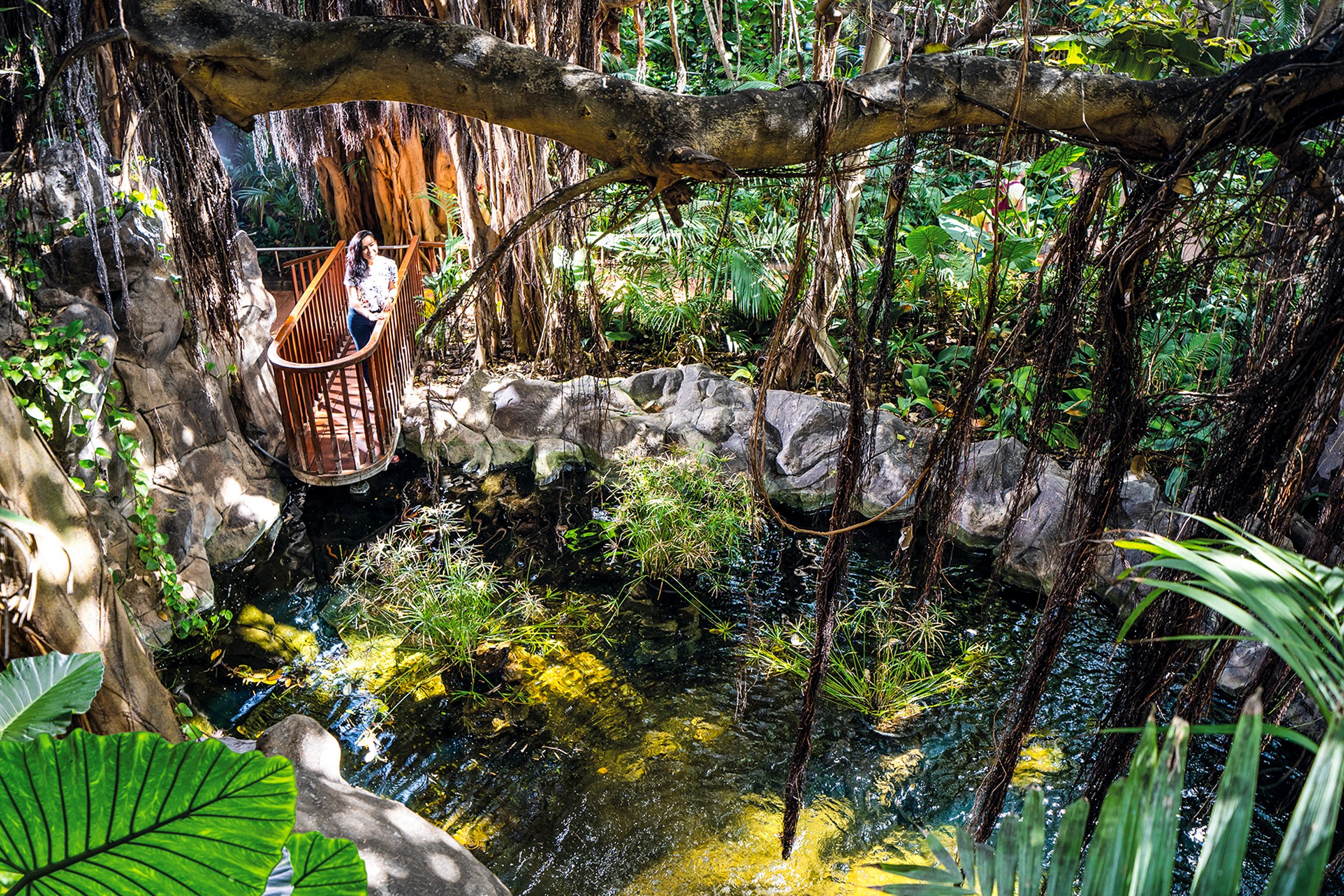 Loro Parque Tenerife Official Entry Ticket
