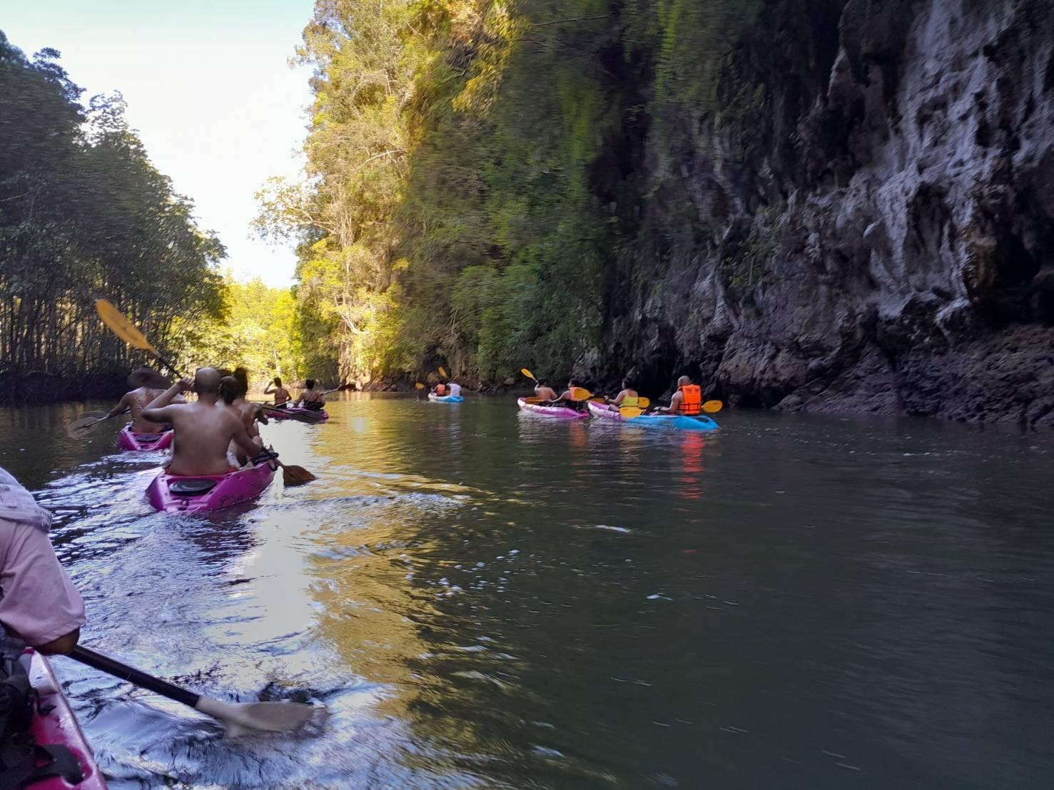 Krabi Ao Thalane Half-Day Mangrove Kayak Tour