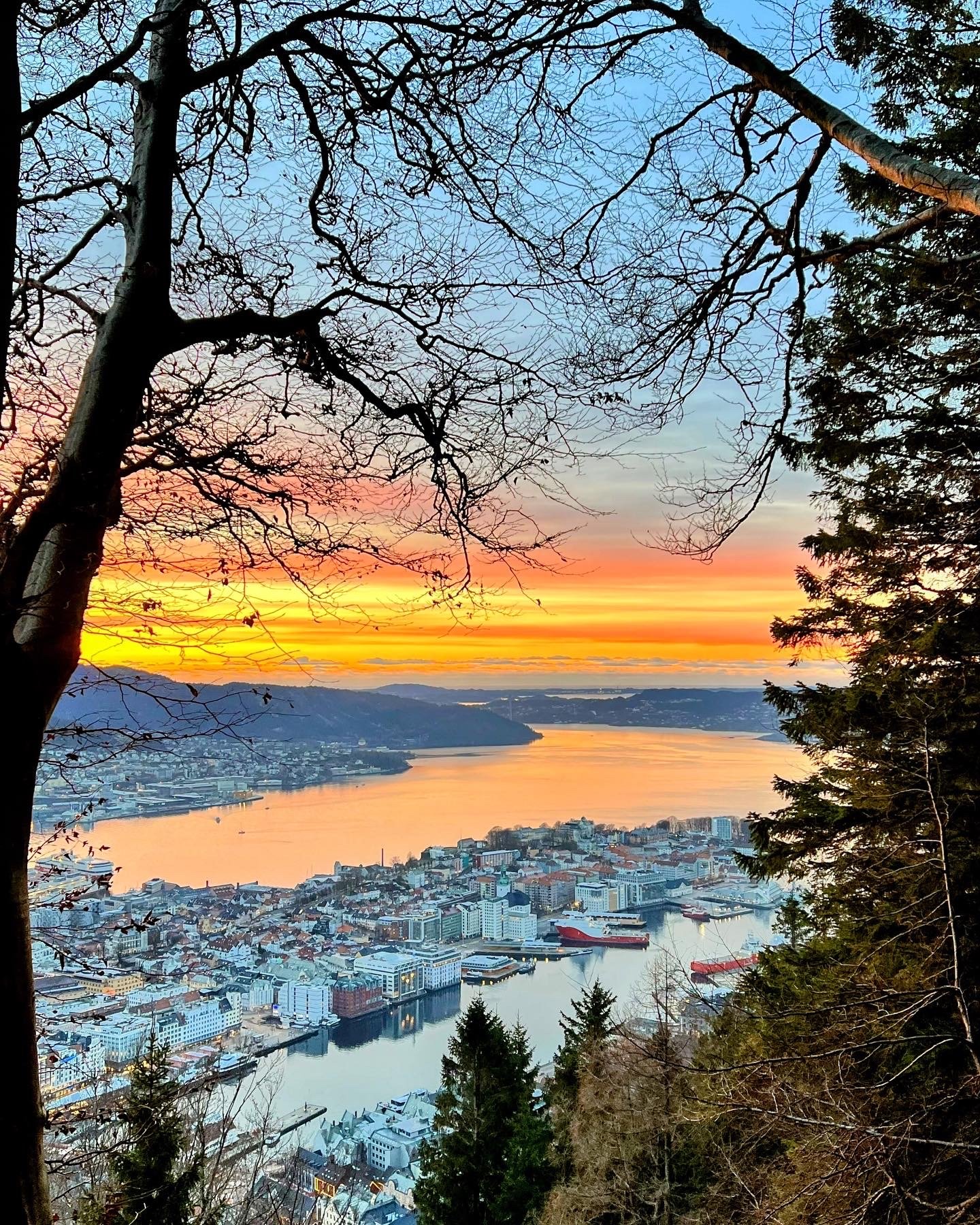Private Bergen Walking Tour