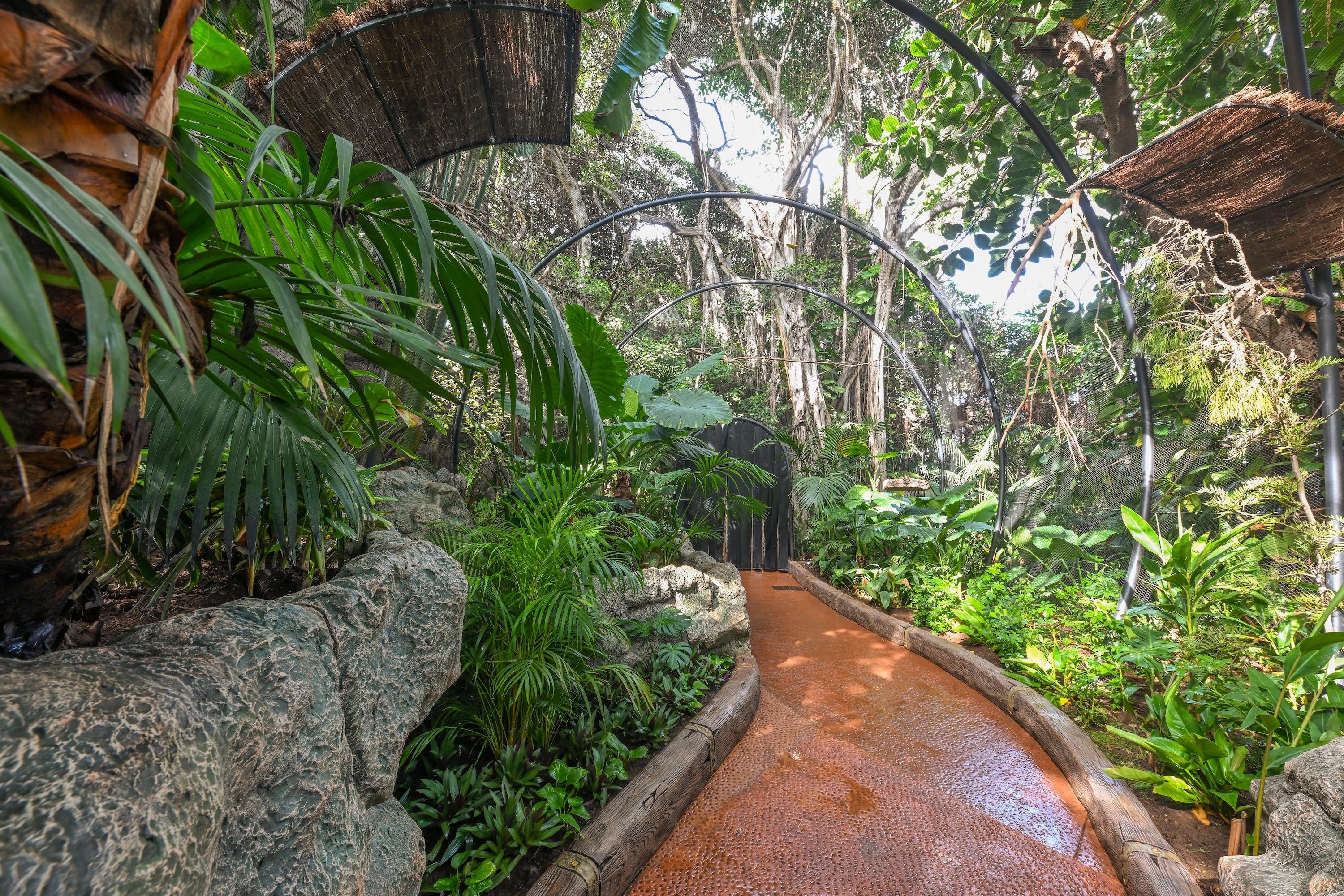 Loro Parque Tenerife Official Entry Ticket