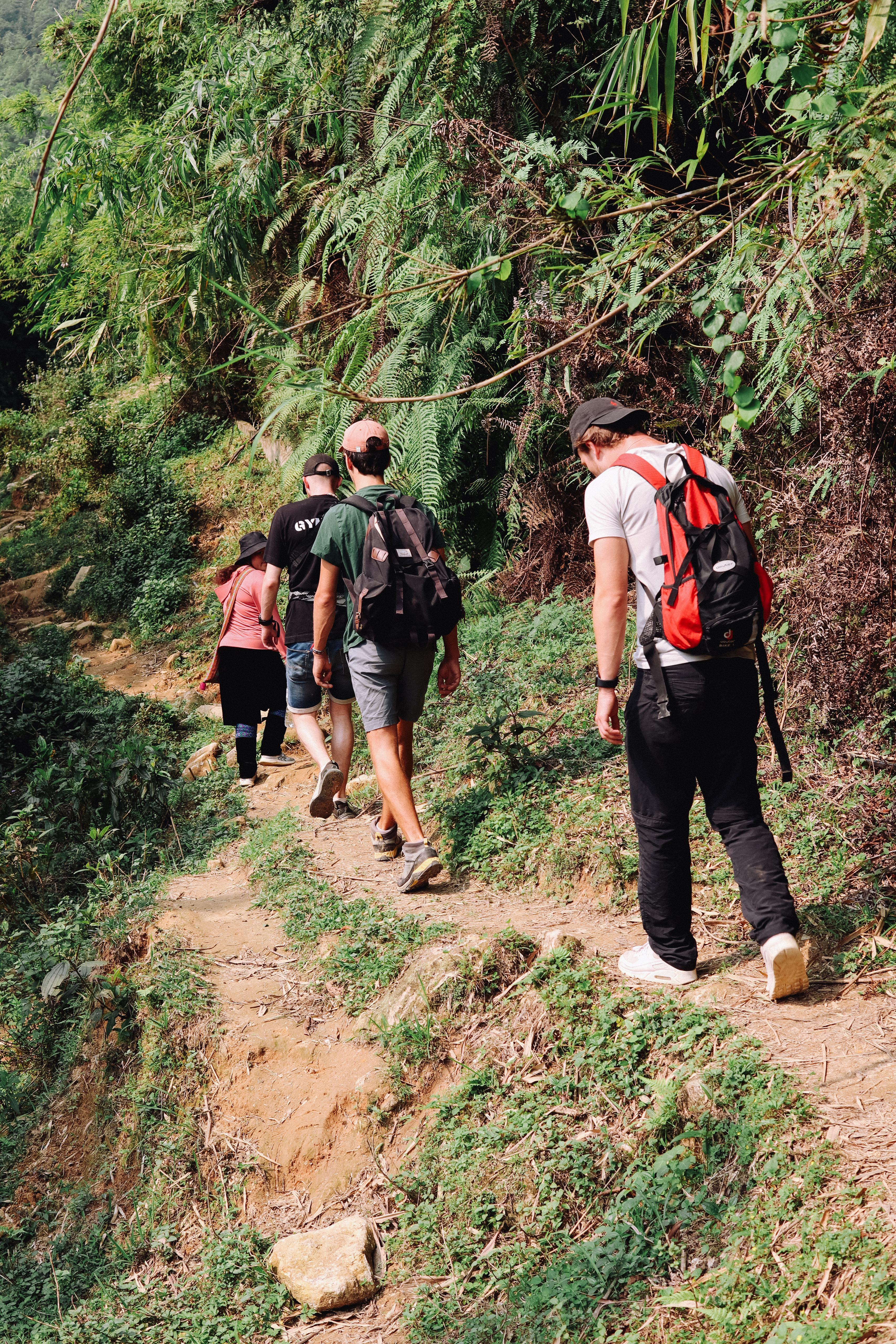 Sapa 2-day trek — Muong Hoa Valley rice terraces and ethnic-minority villages — image 89