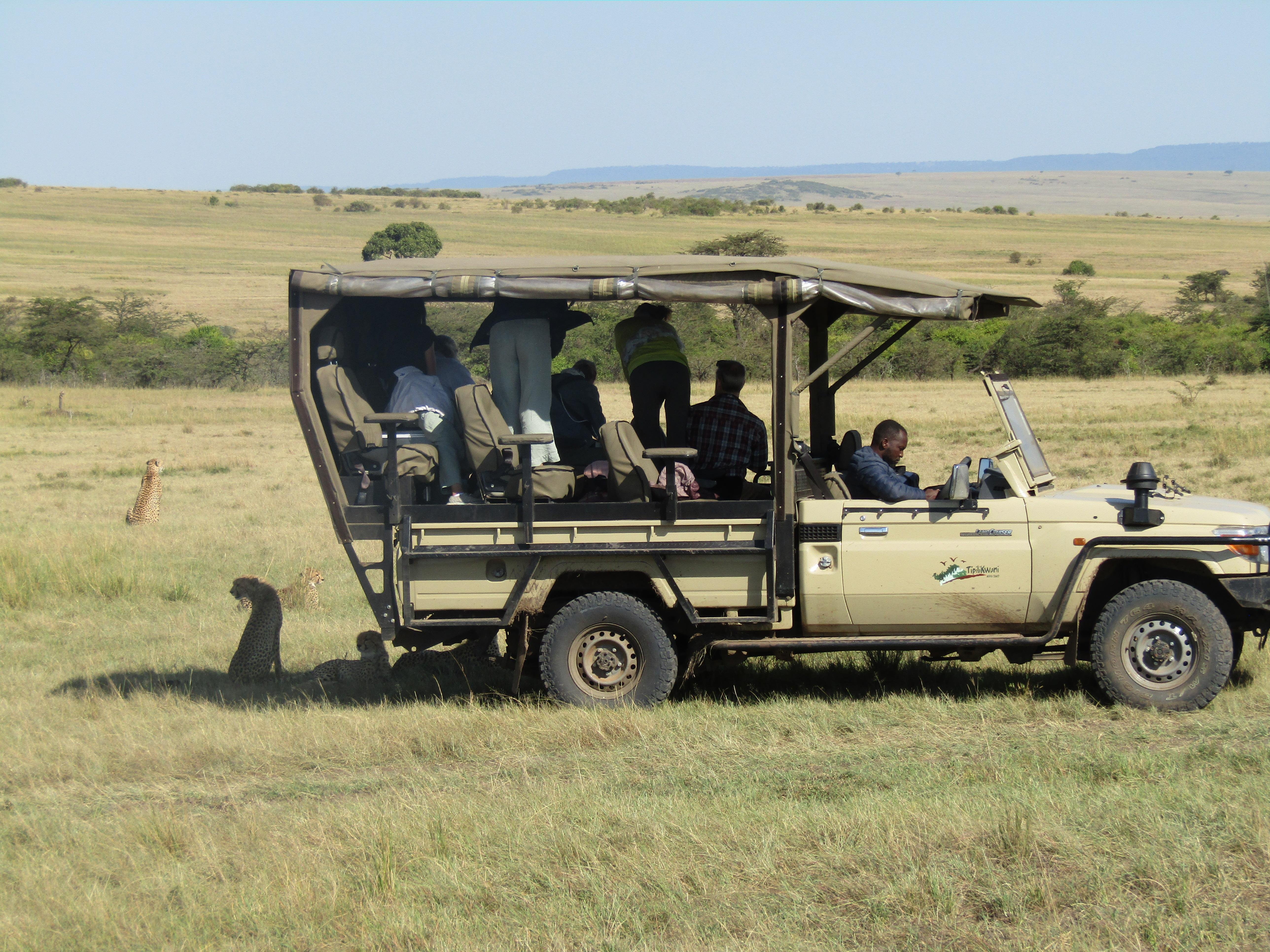 3-Day Masai Mara Safari Adventure from Nairobi