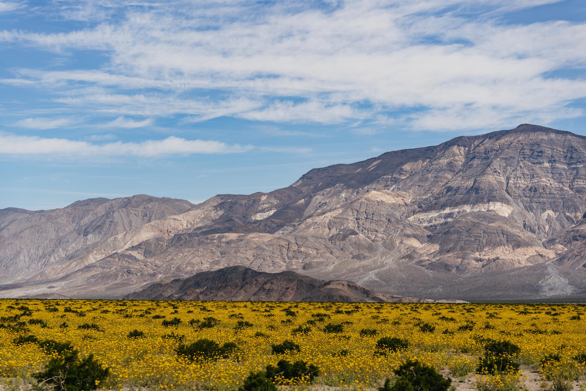 Death Valley national park tour from Las Vegas — Badwater Basin salt flats, Zabriskie Point badlands and Mesquite sand dunes — image 15