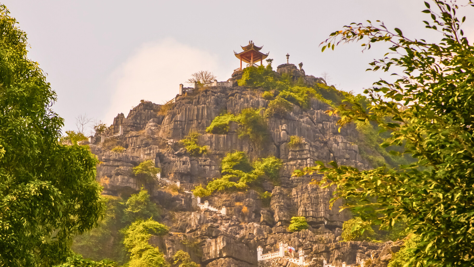Ninh Binh Day Trip: Trang An, Mua Cave & Bai Dinh Pagoda from Hanoi