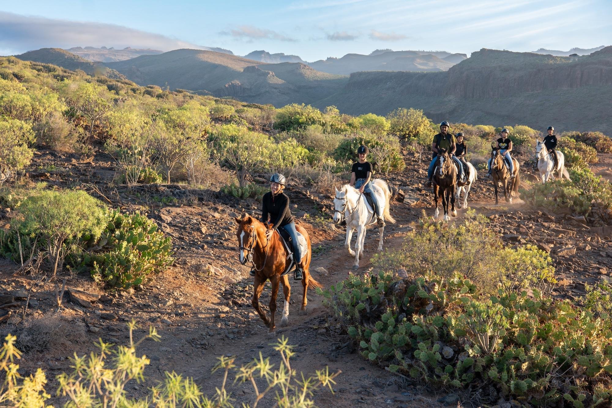 El Salobre Horse Riding Adventure, Gran Canaria