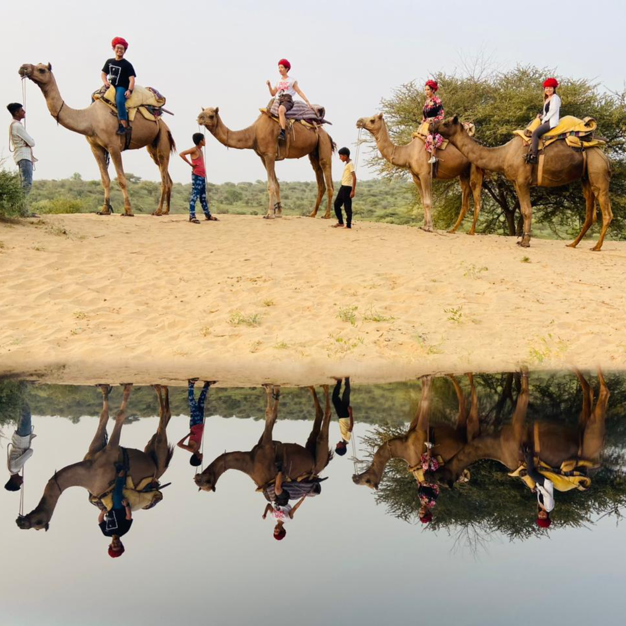 Jodhpur: Thar Desert Camel & Jeep Safari with Traditional Dining