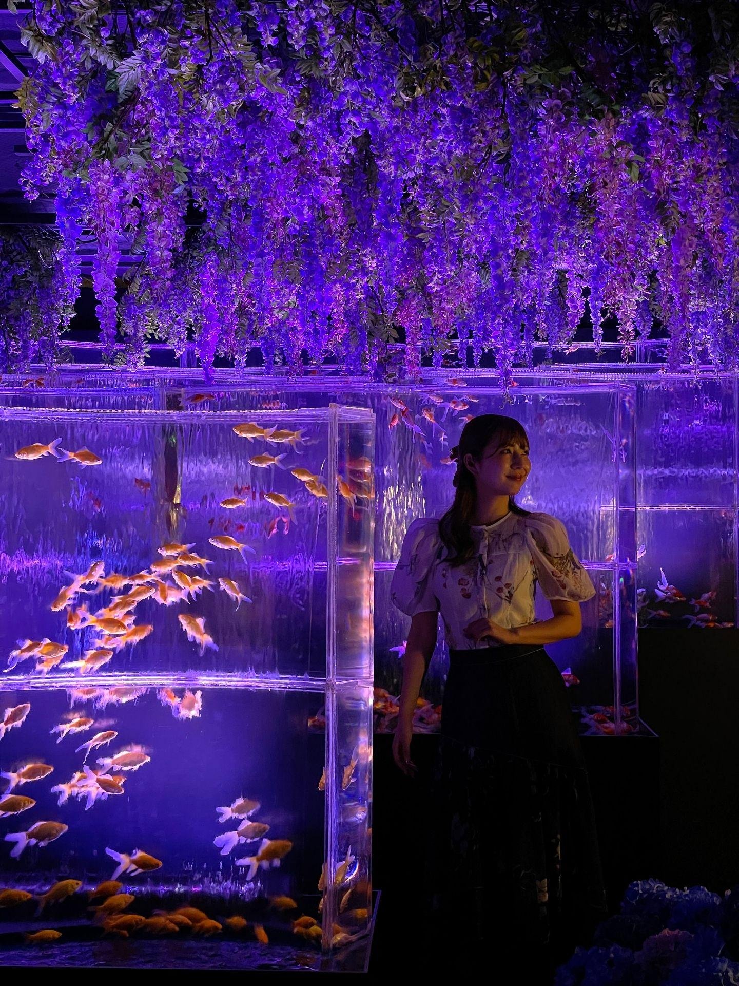 Art Aquarium Museum GINZA Entry Ticket