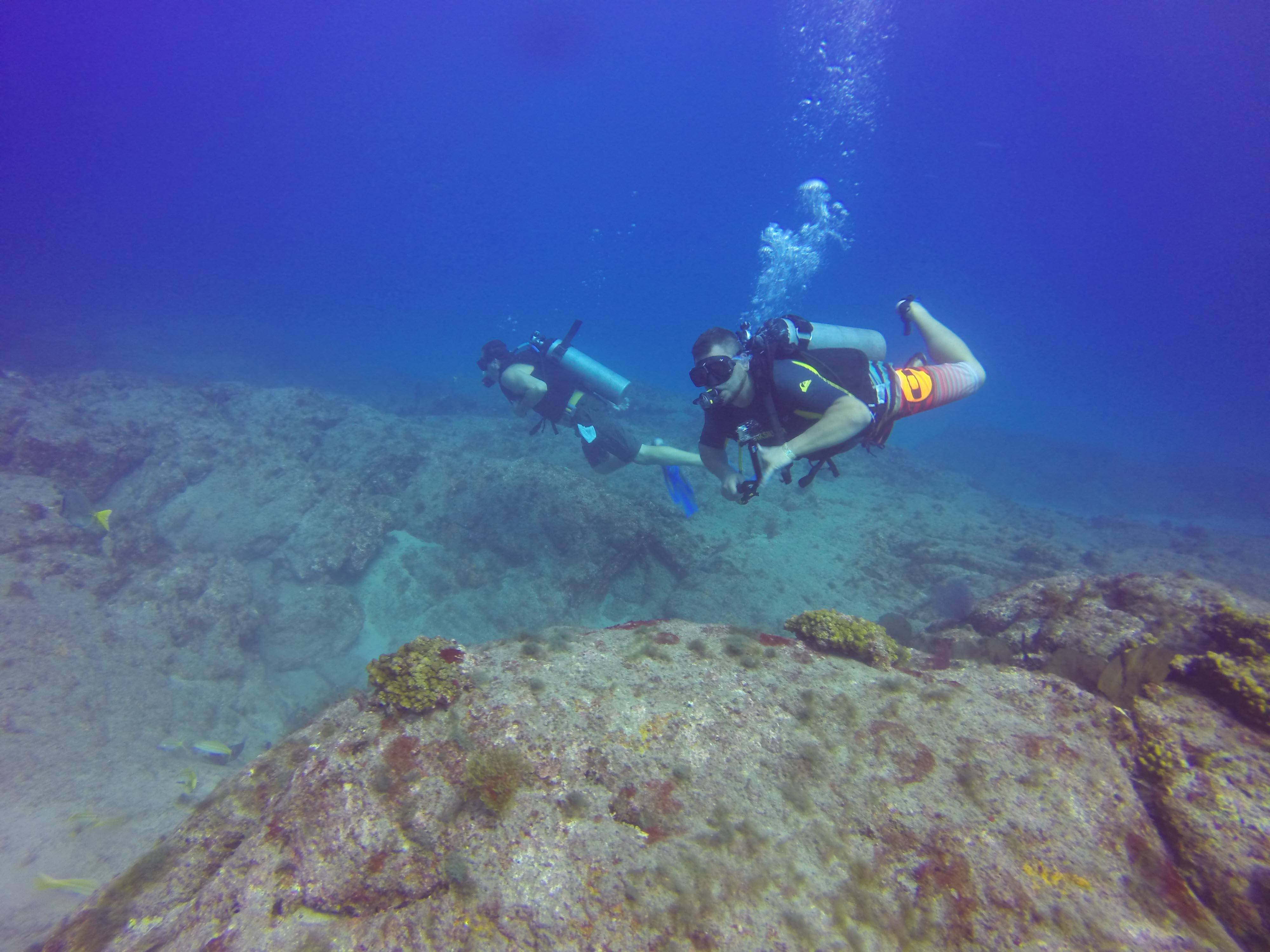 Cabo San Lucas Marine Park: Two-Tank Scuba Diving Adventure