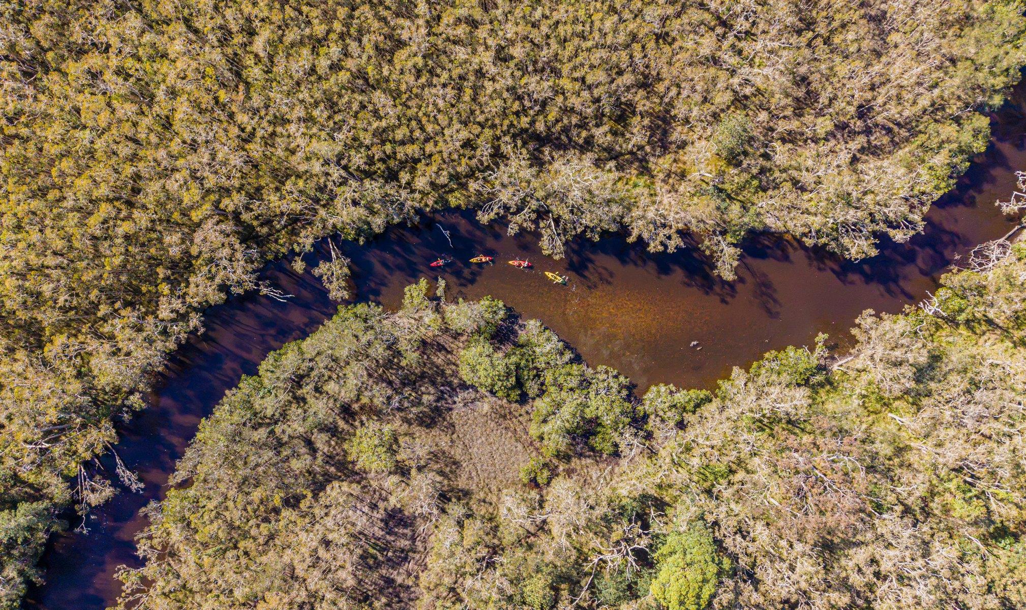 Lake Weyba Kayak Adventure & Stingray Sanctuary
