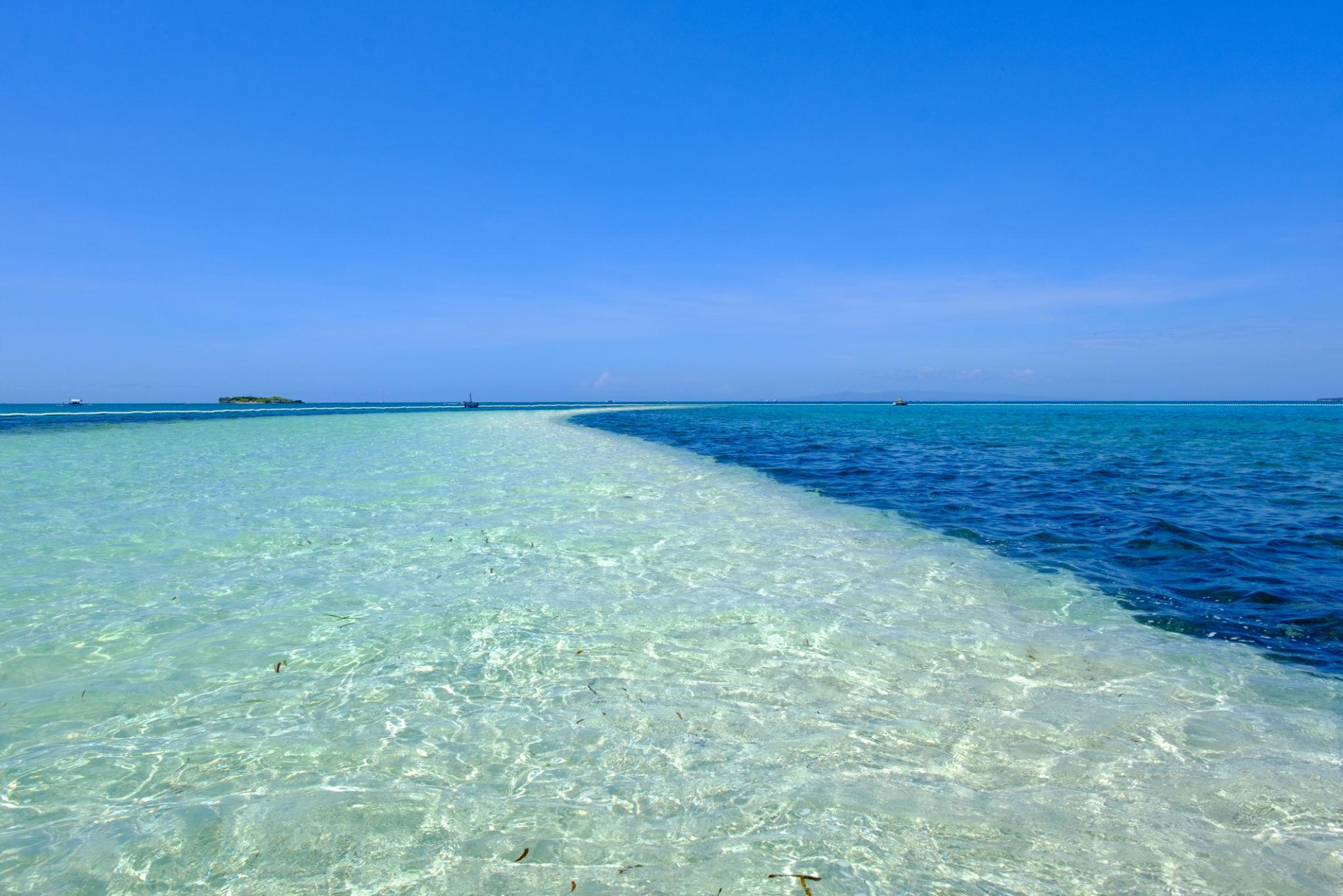 Bohol Dolphin Watching & Balicasag Island Marine Sanctuary