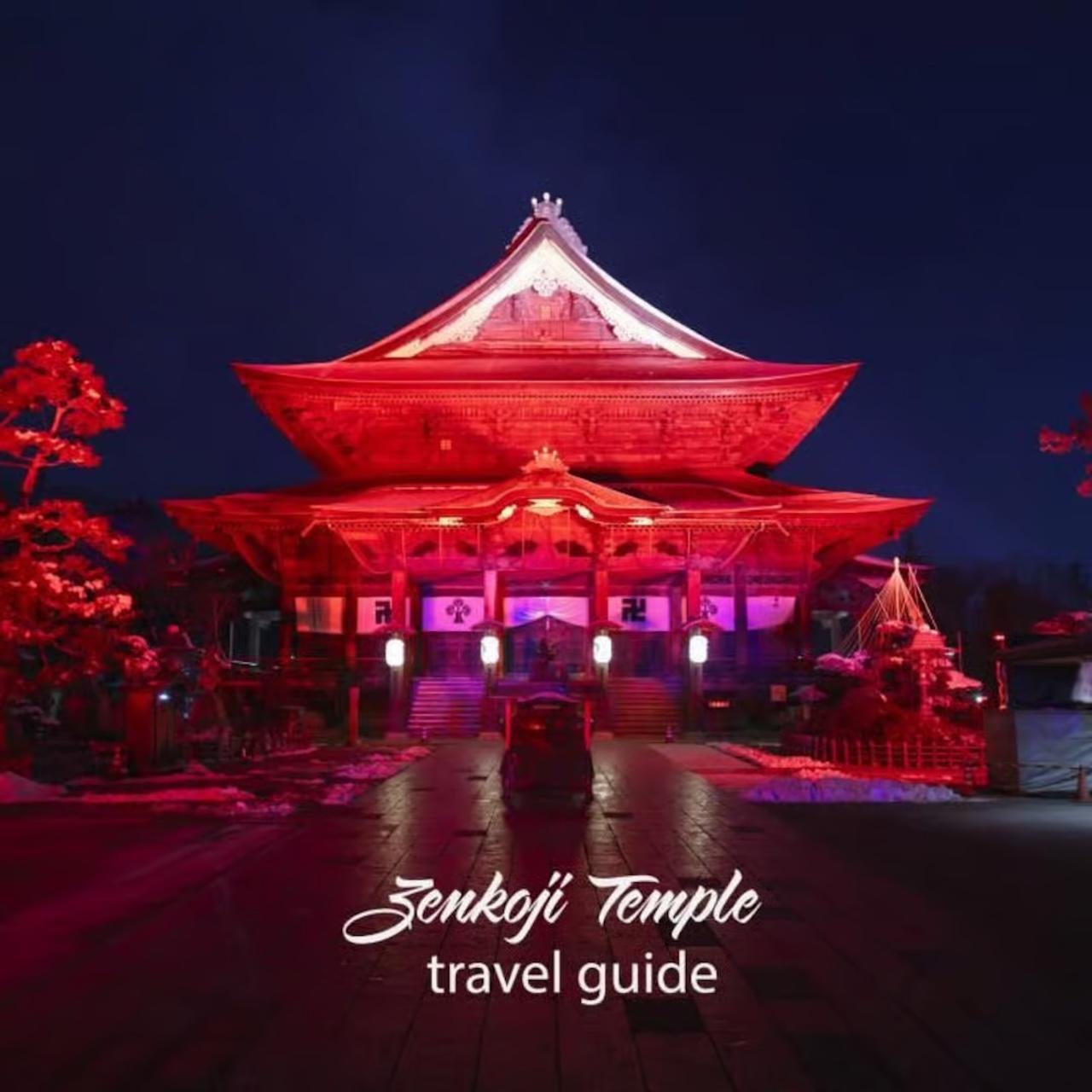 Nagano Snow Monkey Private Day Tour from Tokyo