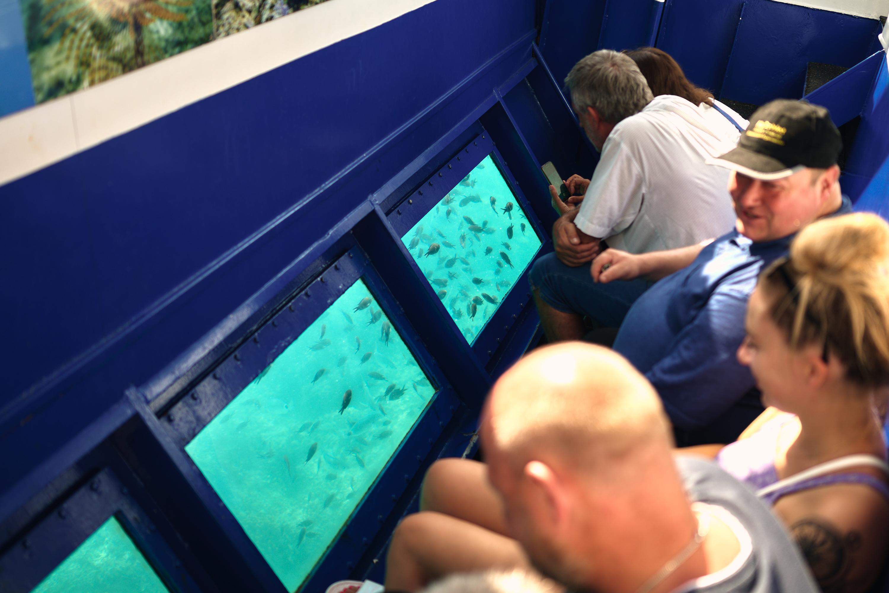 Umag Aquavision Glass-Bottom Boat Coastal Cruise