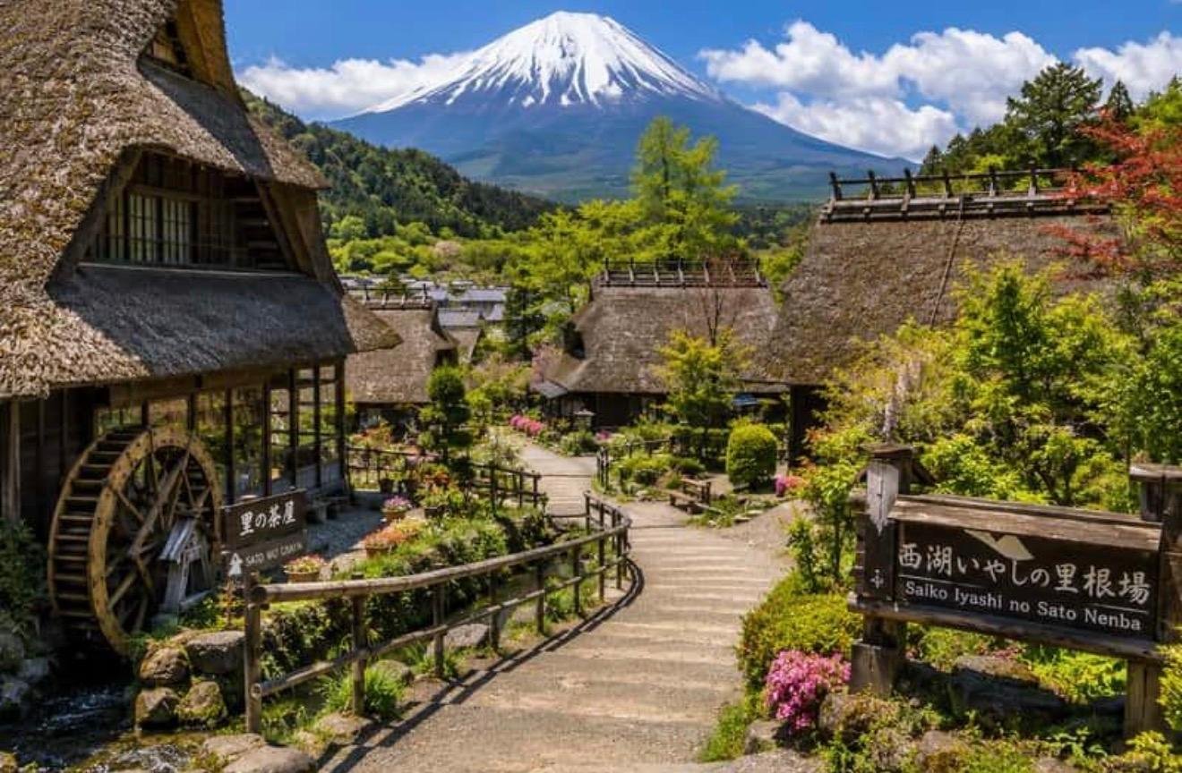 Customizable Mount Fuji Private Day Trip from Tokyo