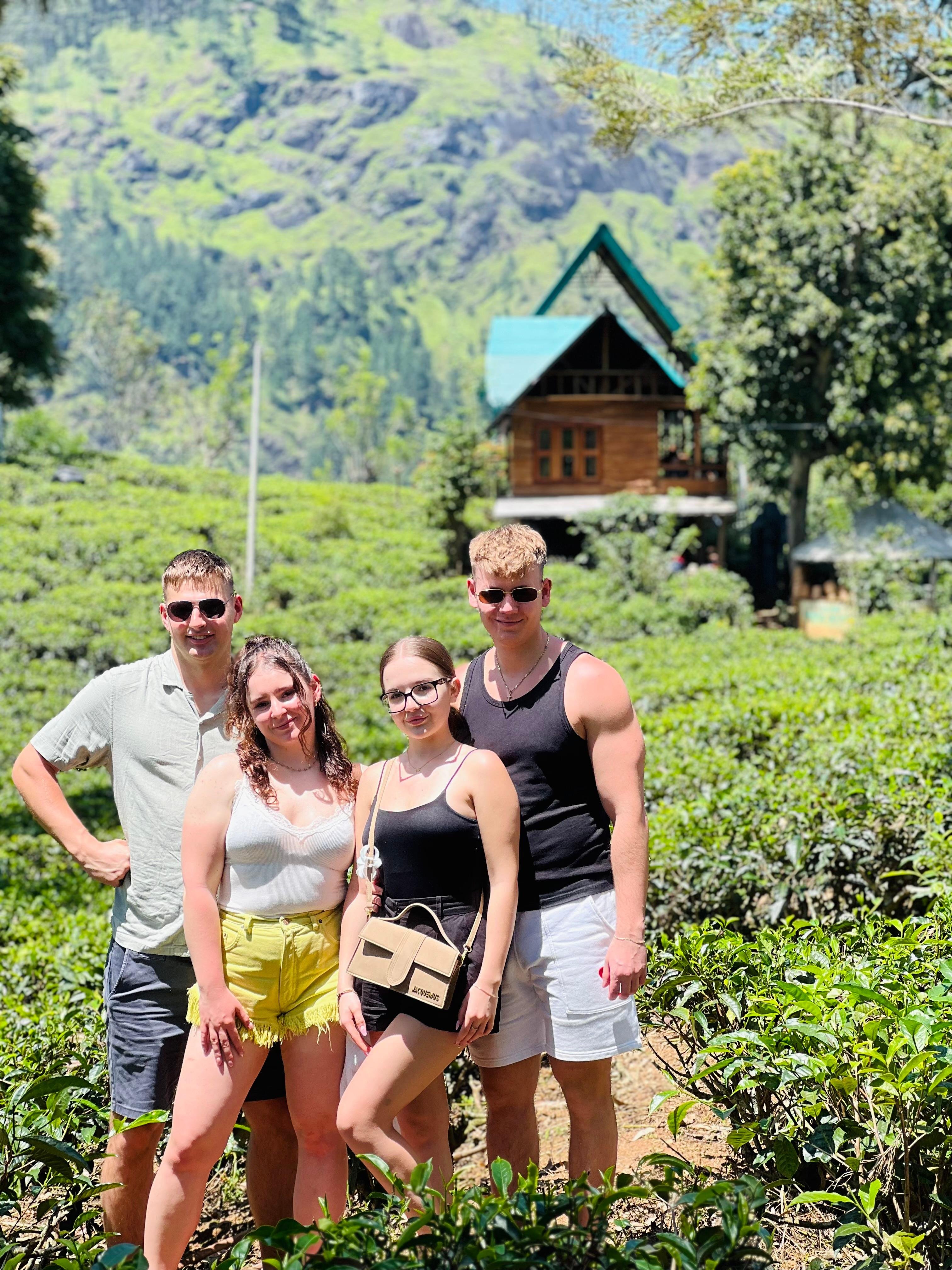 Ella: Hands-On Tea Crafting and Tasting Experience