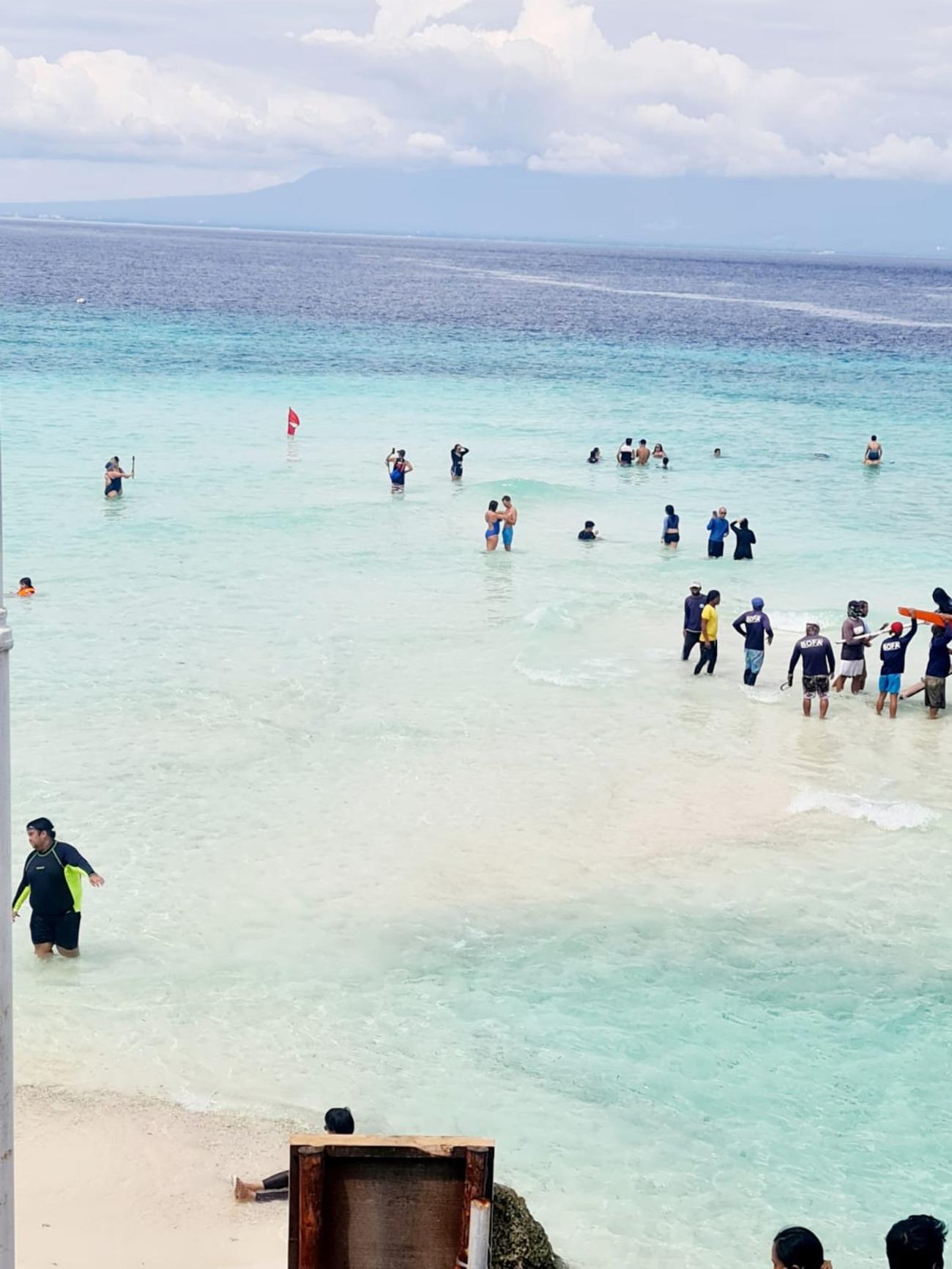 Cebu Triple Wonder: Whale Sharks, Sumilon Sandbar & Tumalog Falls